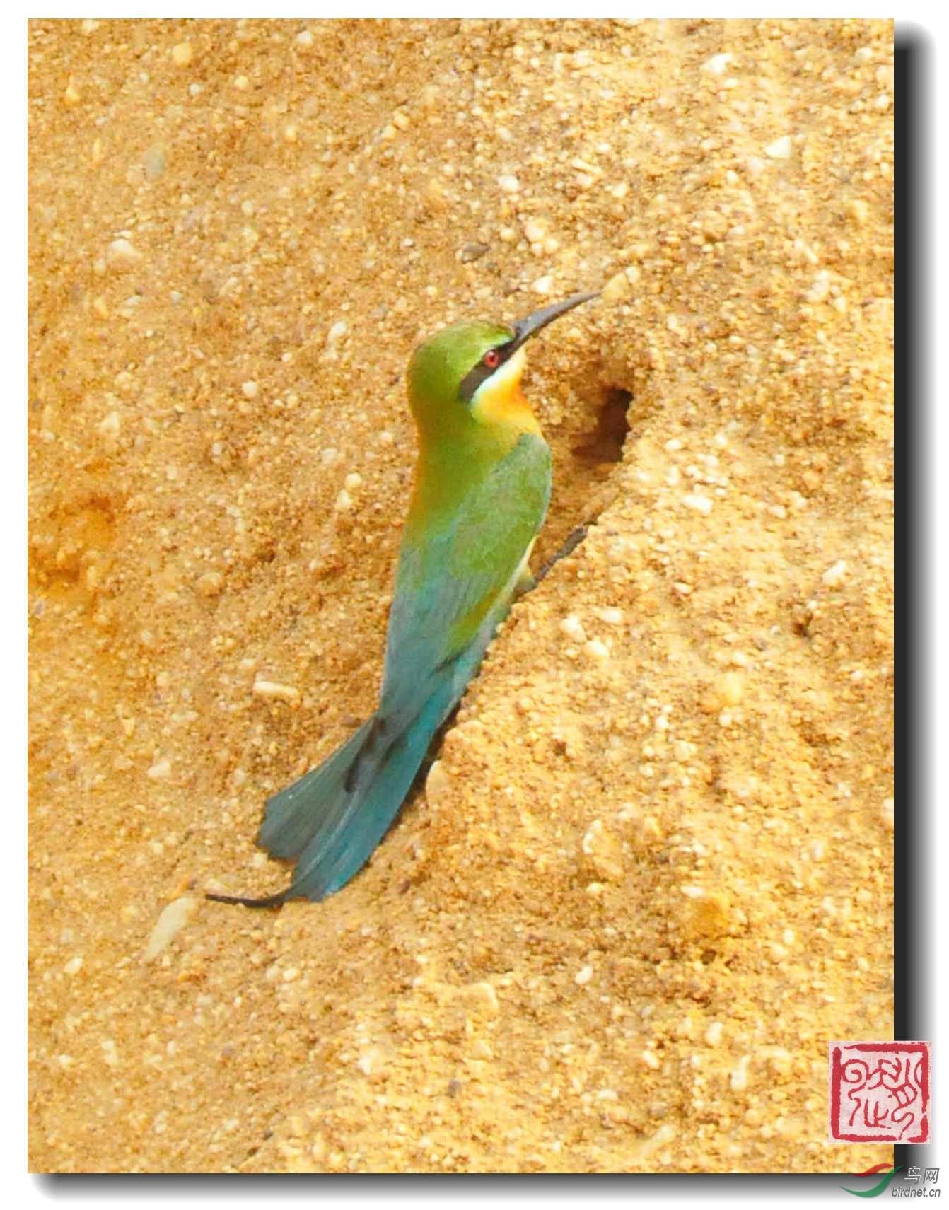 DSC_9374_副本_副本.jpg
