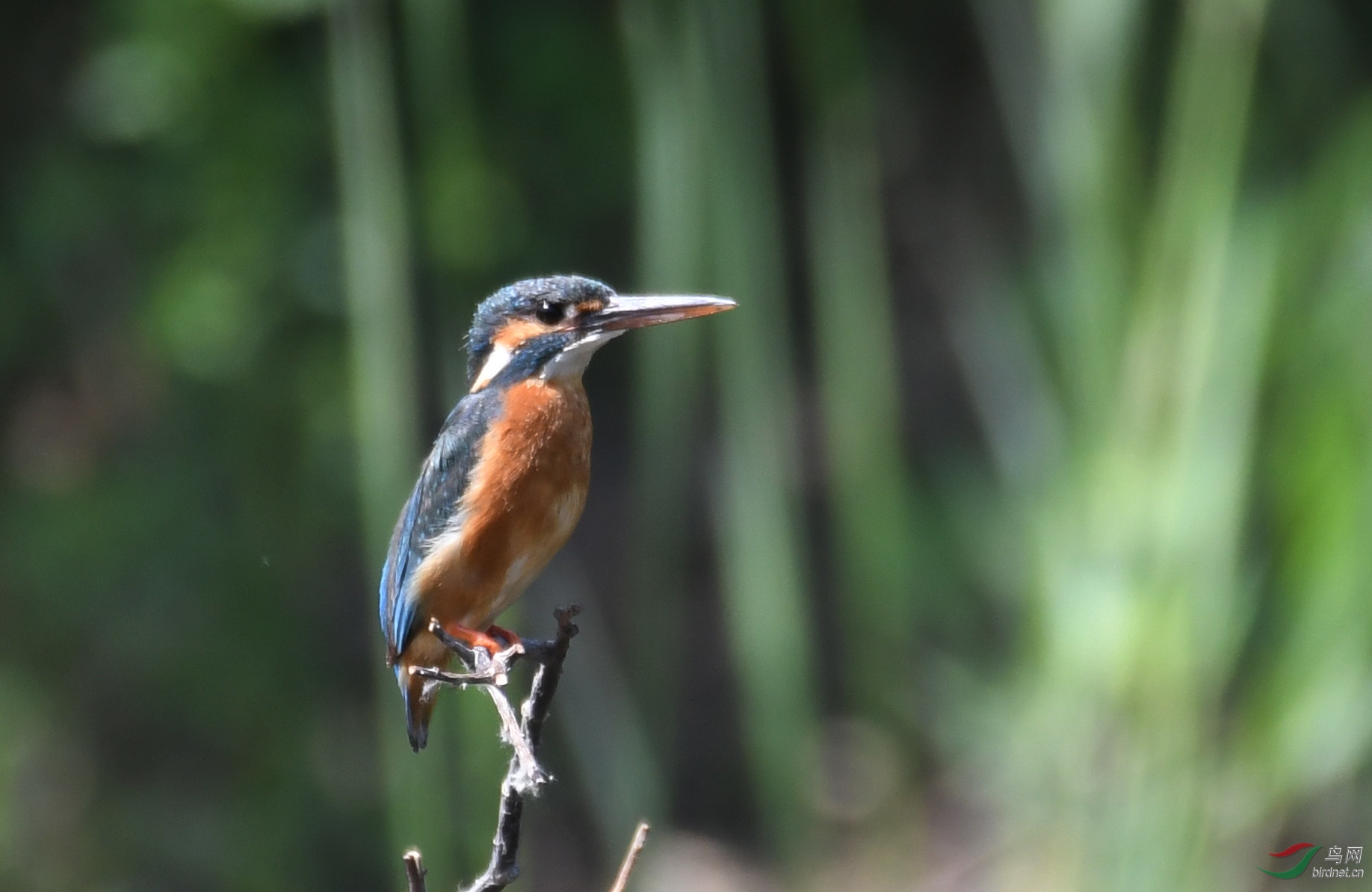 ������Ӱ 3967����.jpg