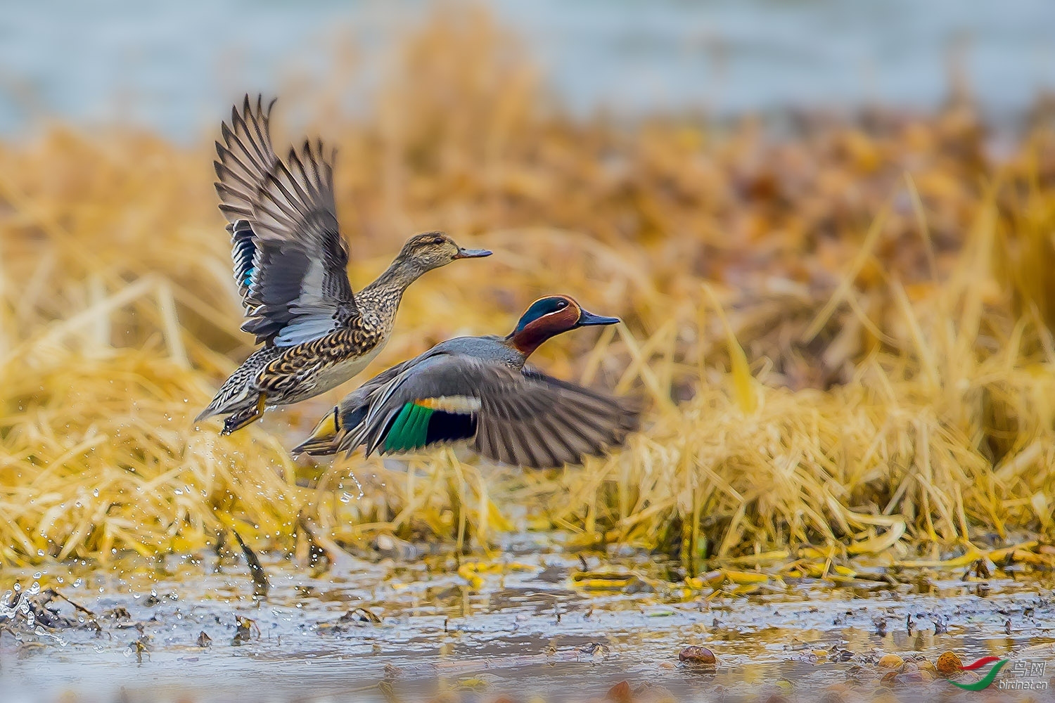 ���۷� ��ë369��ʦ����.jpg