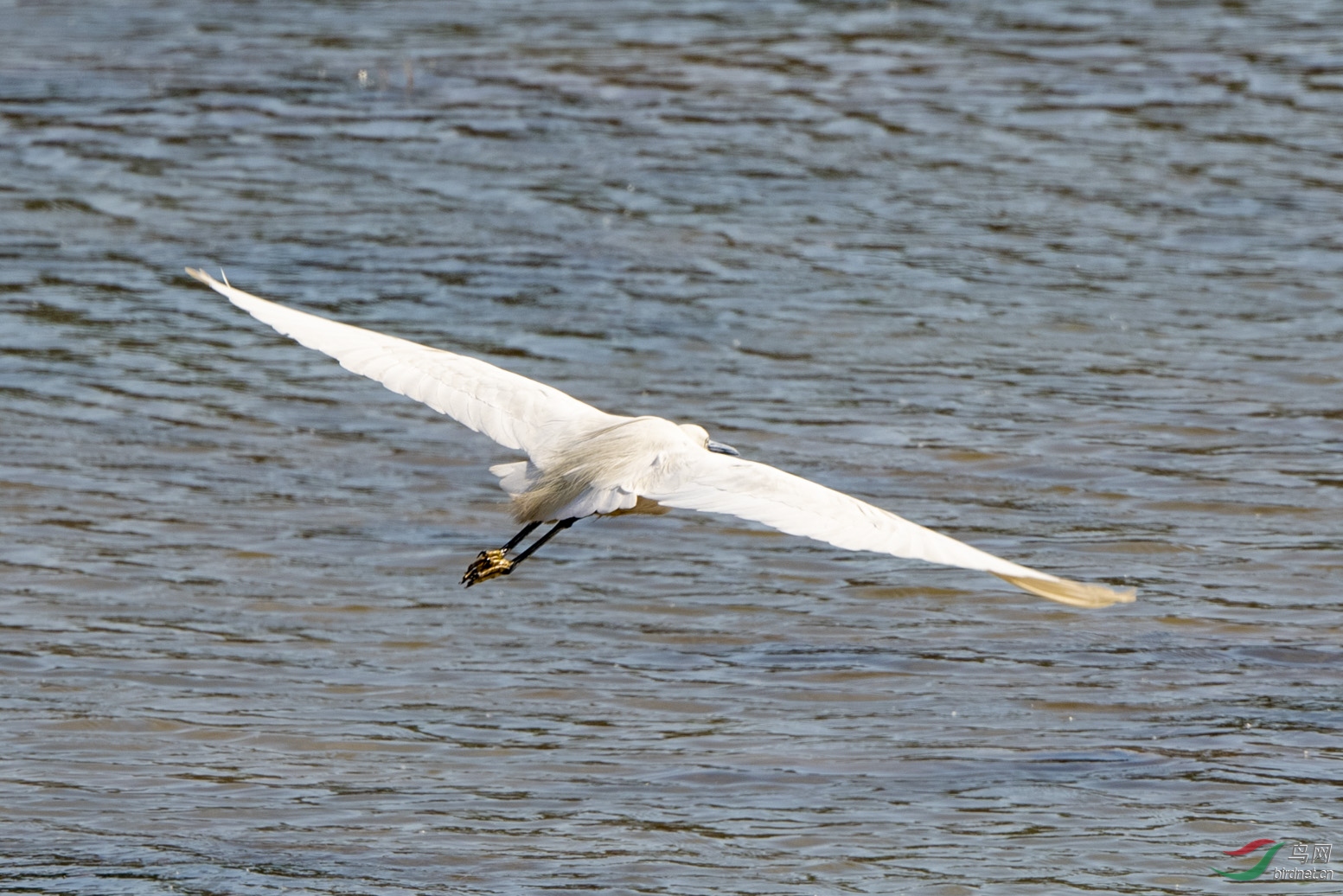 D50_2187.jpg