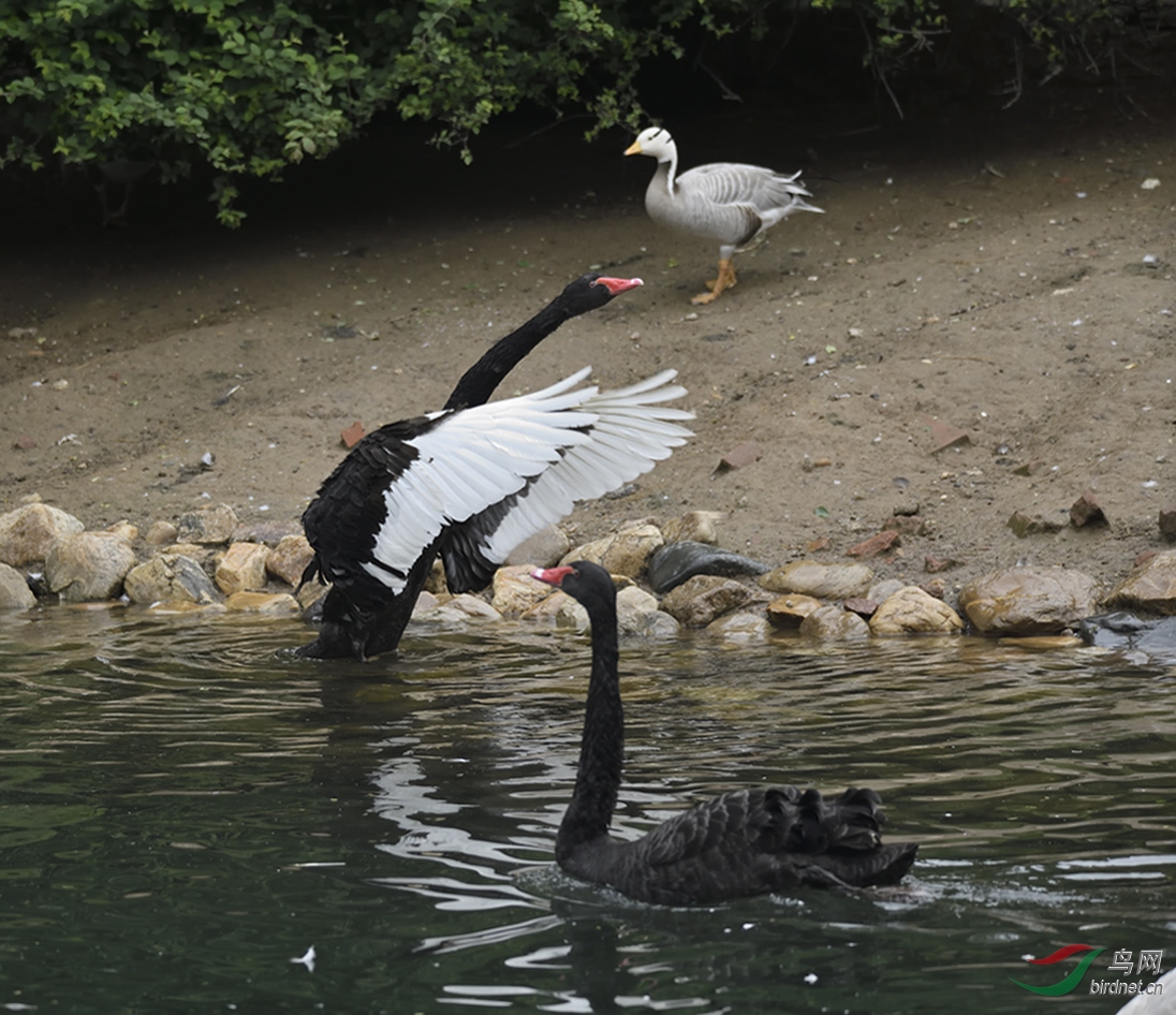 _DSC6593_00001-p-02.jpg