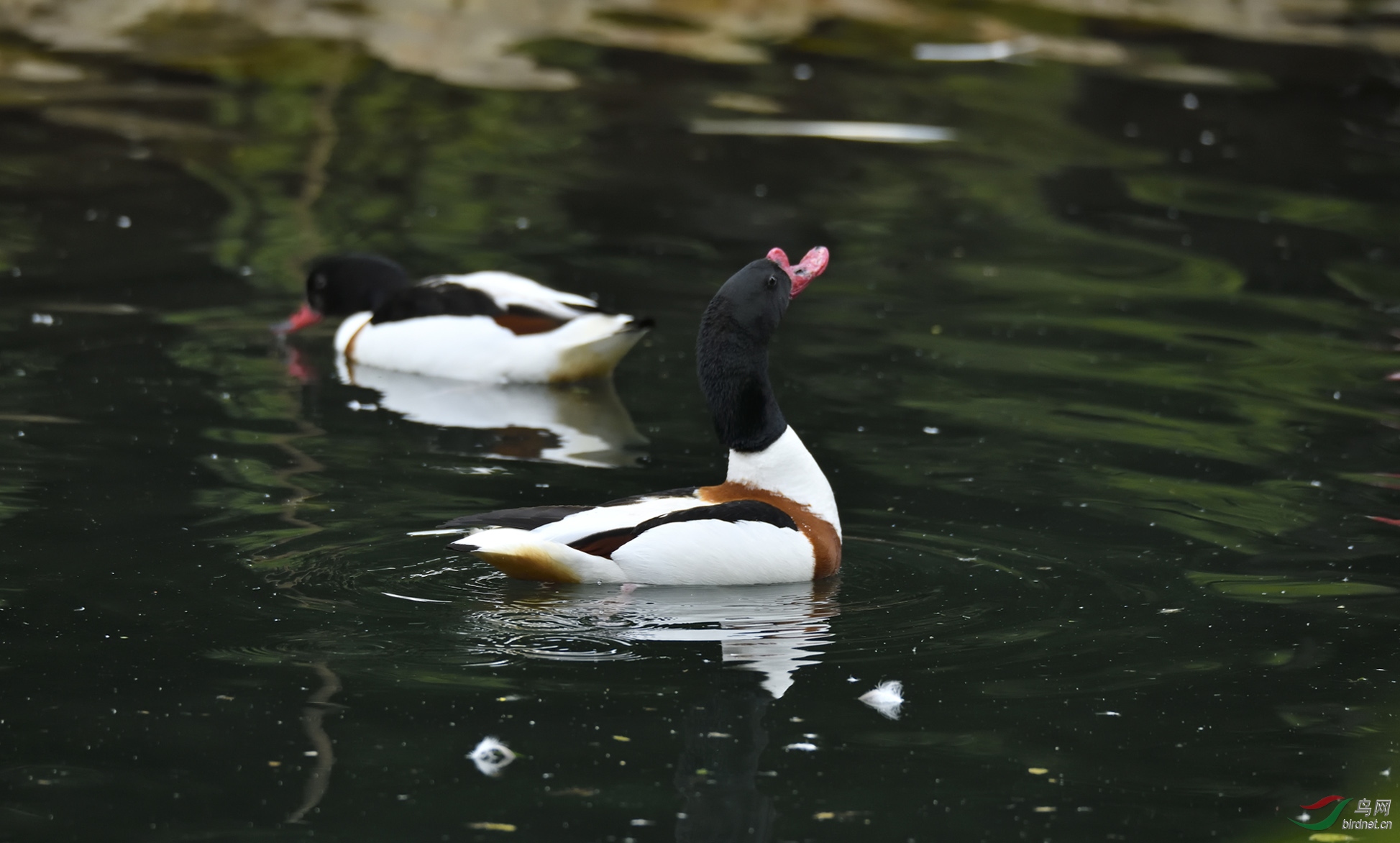 _DSC6612_00001-p-02.jpg