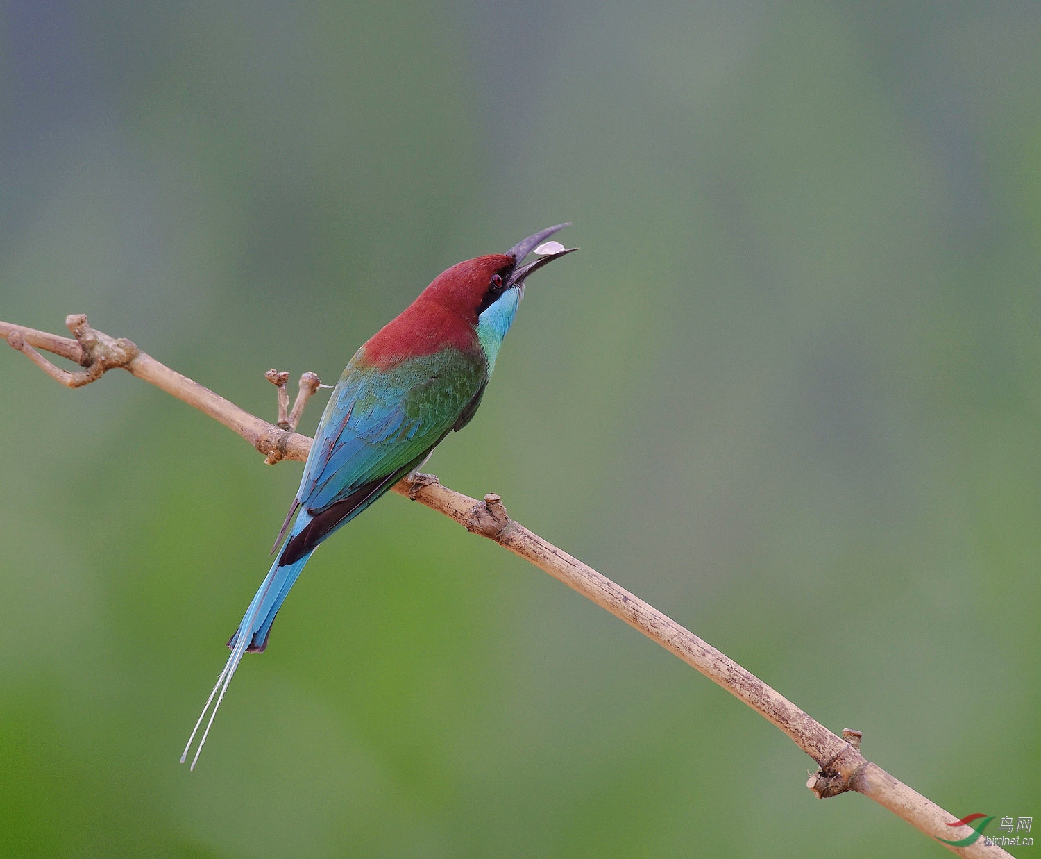 D8I_5975.jpg