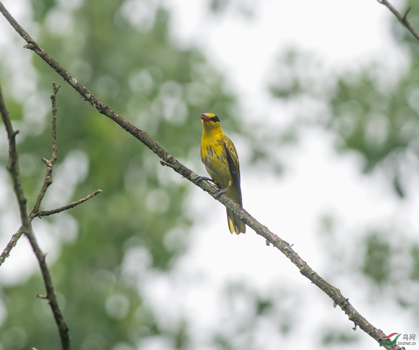 DSC_5887.jpg