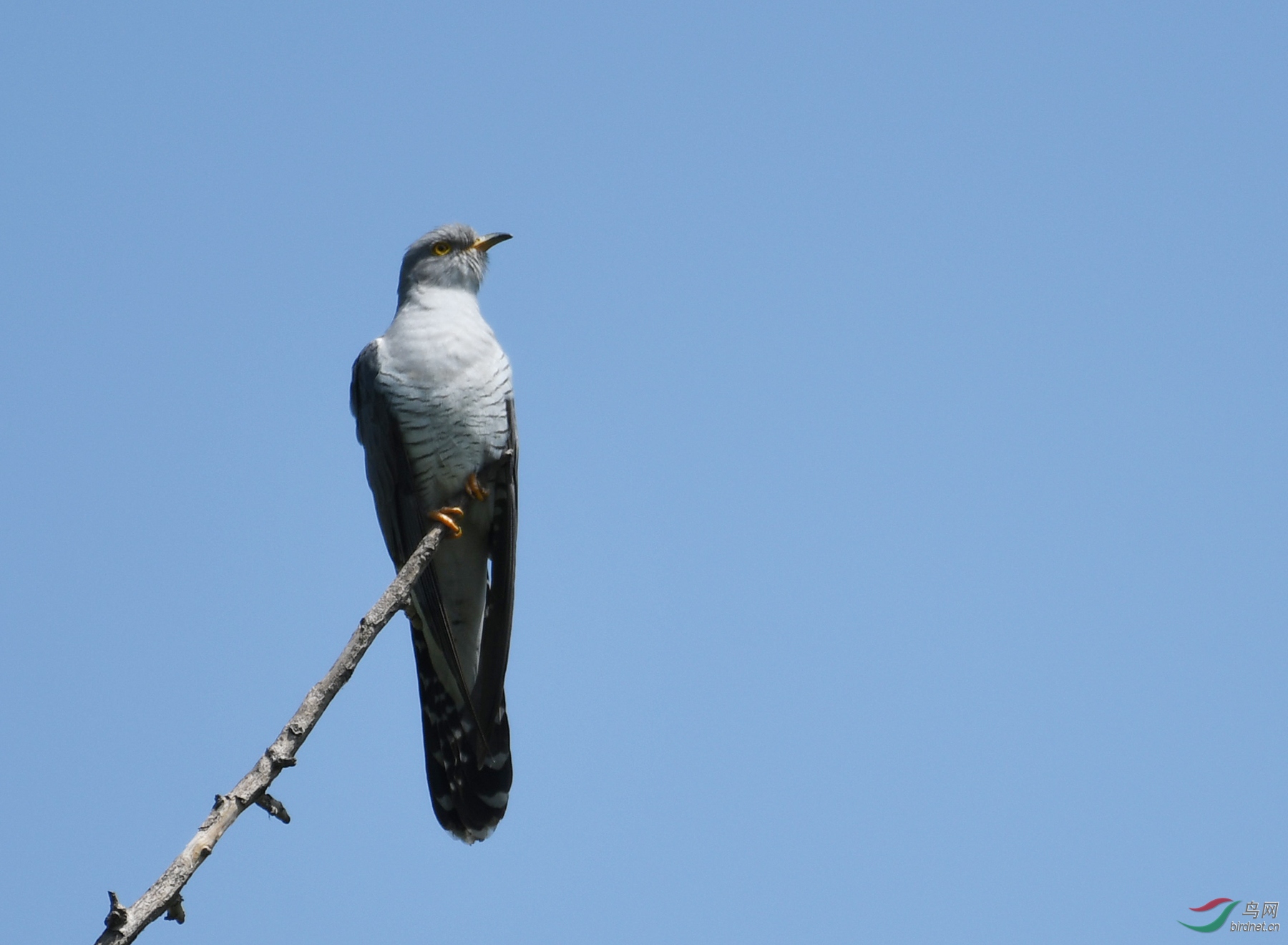 ������Ӱ 4202����.jpg