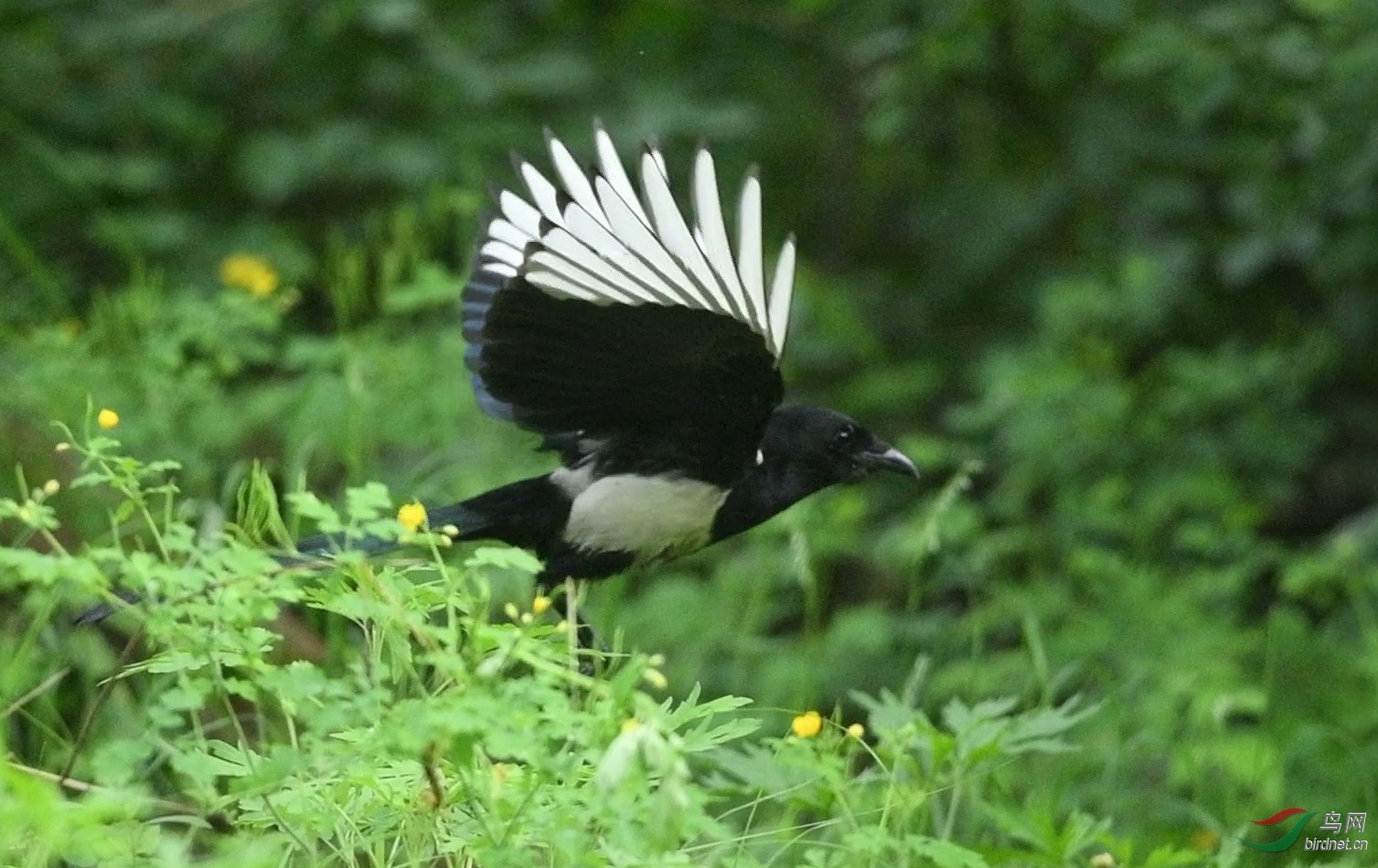 DSC_7260 00_01_11-00_01_15_Moment-01-1.jpg