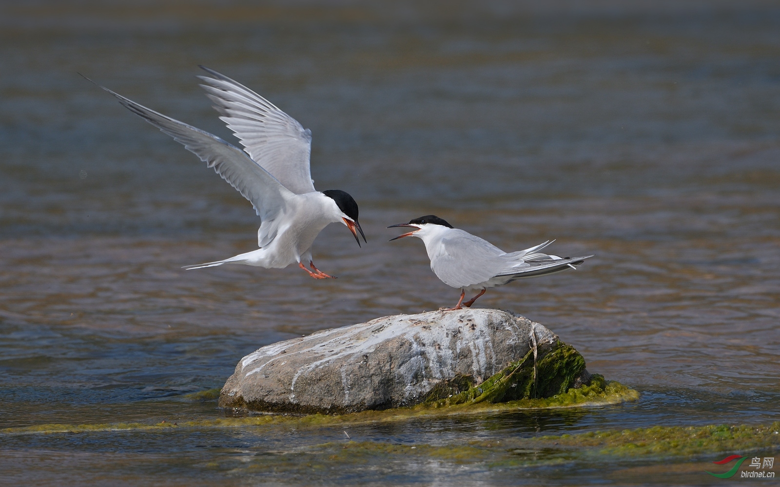 DSC_4744.jpg