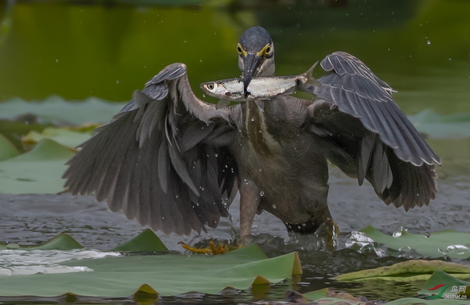 2020�����������ز���