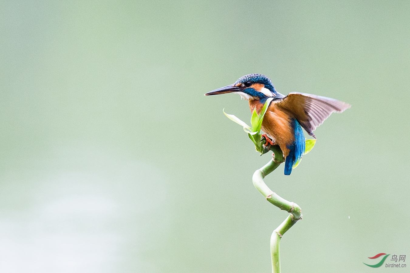 XCG_6219 - ����.jpg