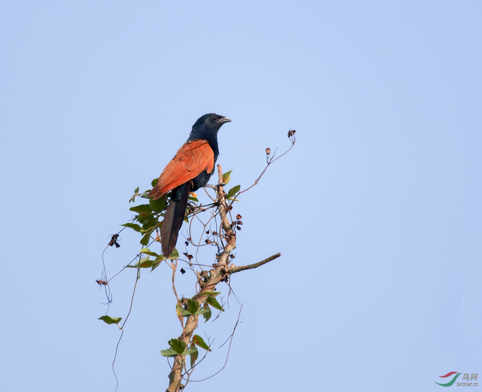 DSC_5690.jpg