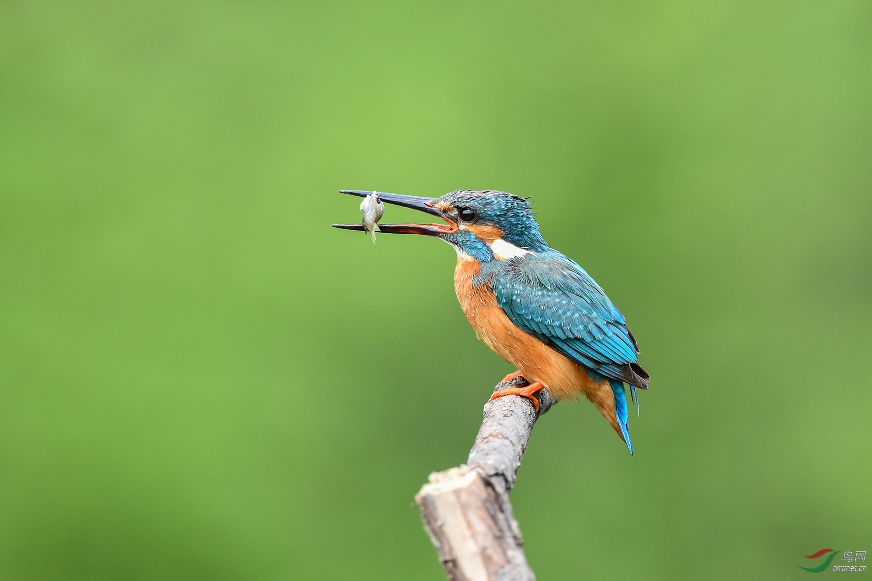 DSC_9862.jpg
