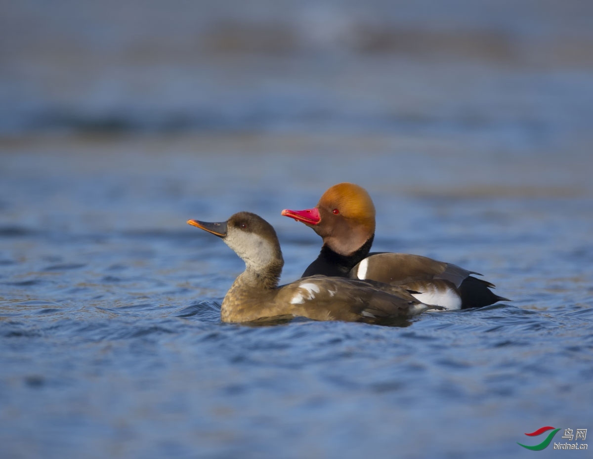 ������ һ·���.jpg