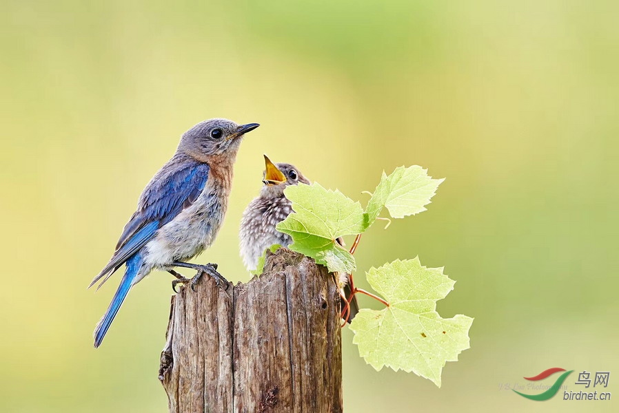 IMG_6033(ûɶι���)_��С��С.jpg