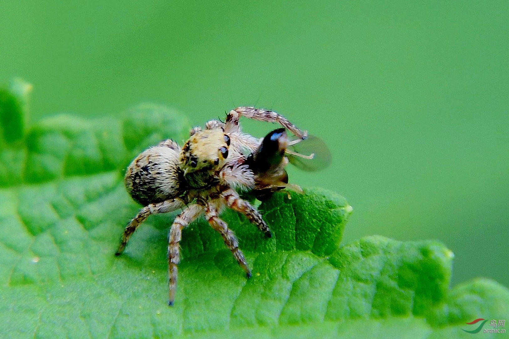 ���� 149.JPG