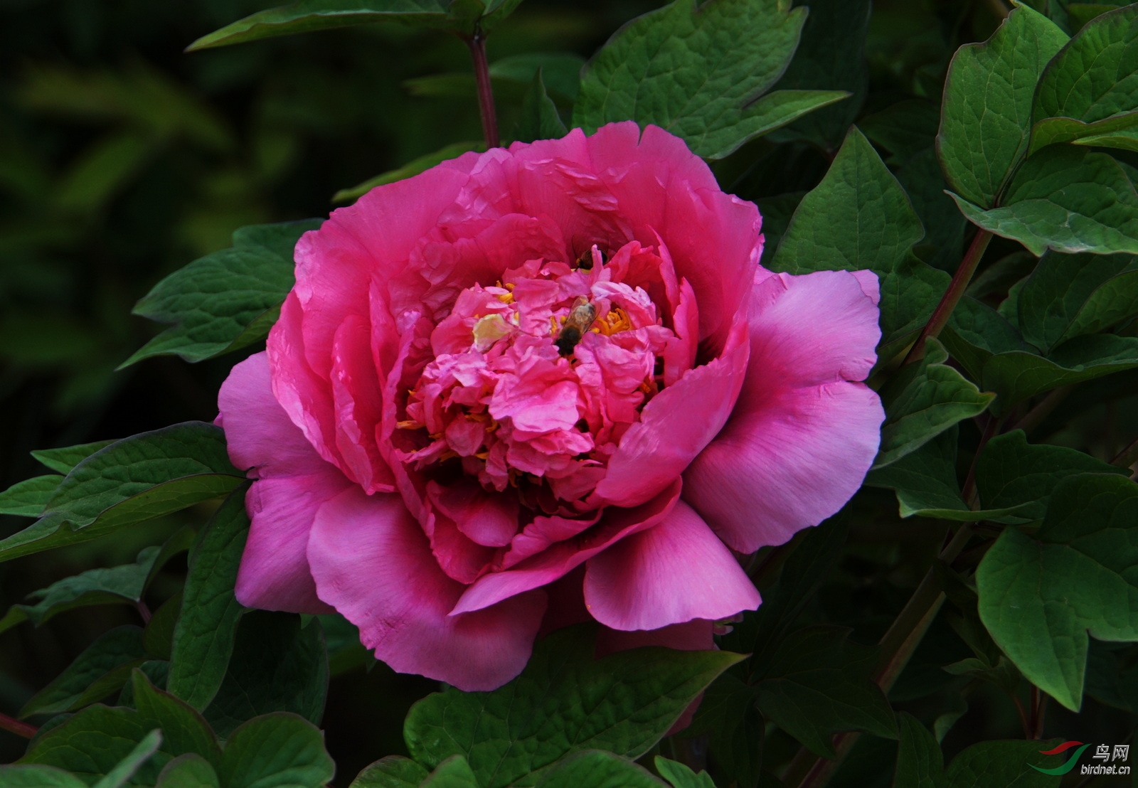 DSC08293.JPG