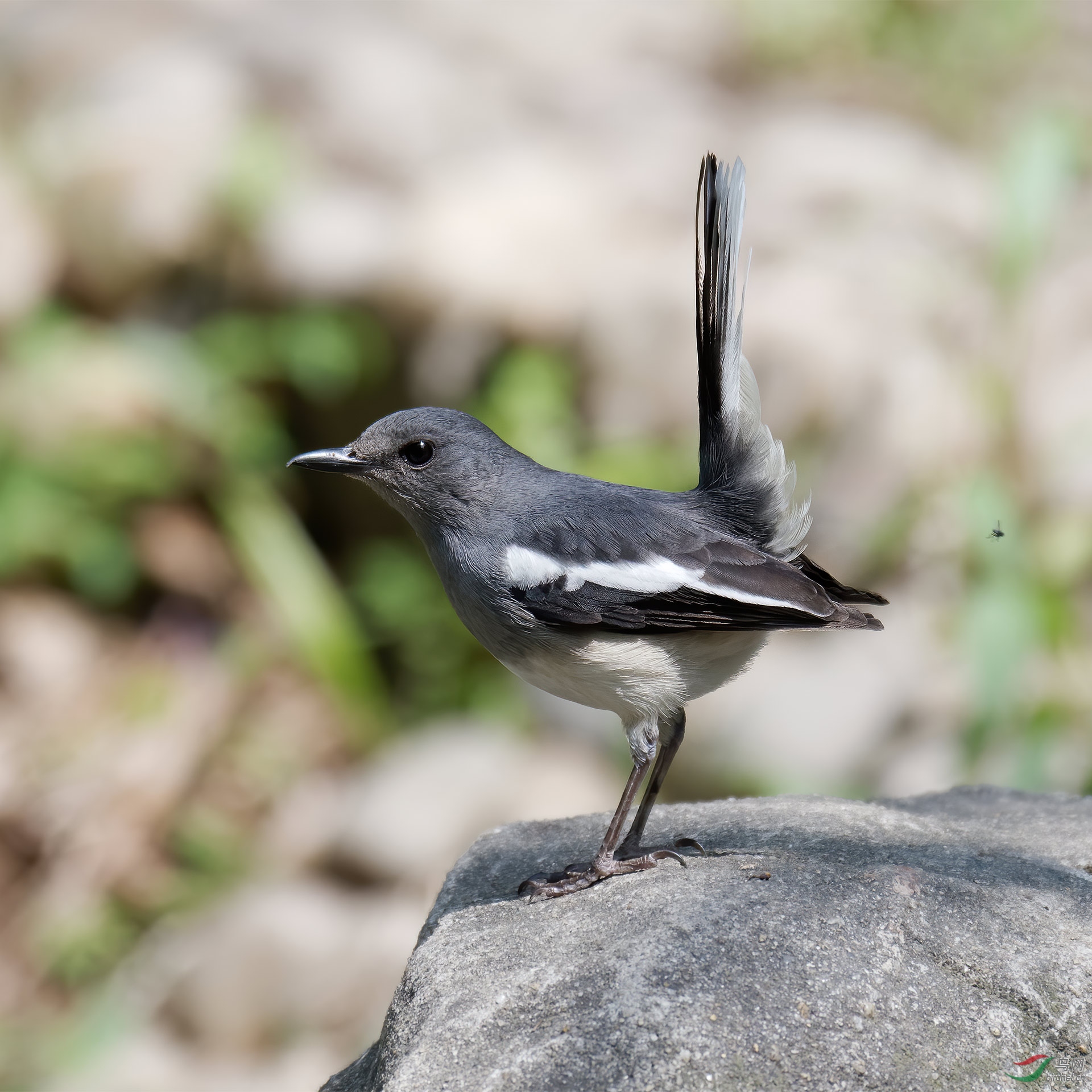 DSC_3587.jpg