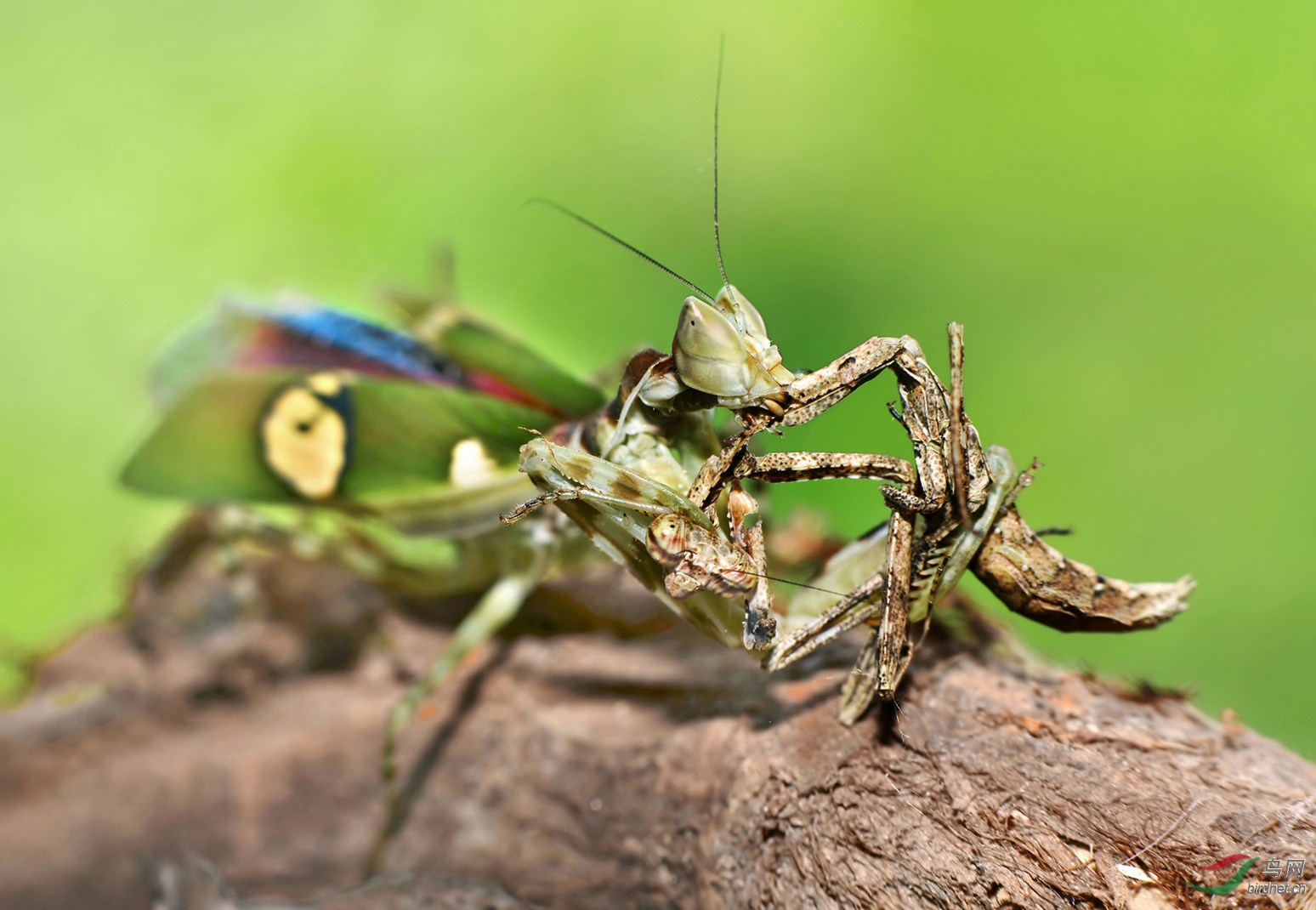 DSC_8224 ��������.jpg