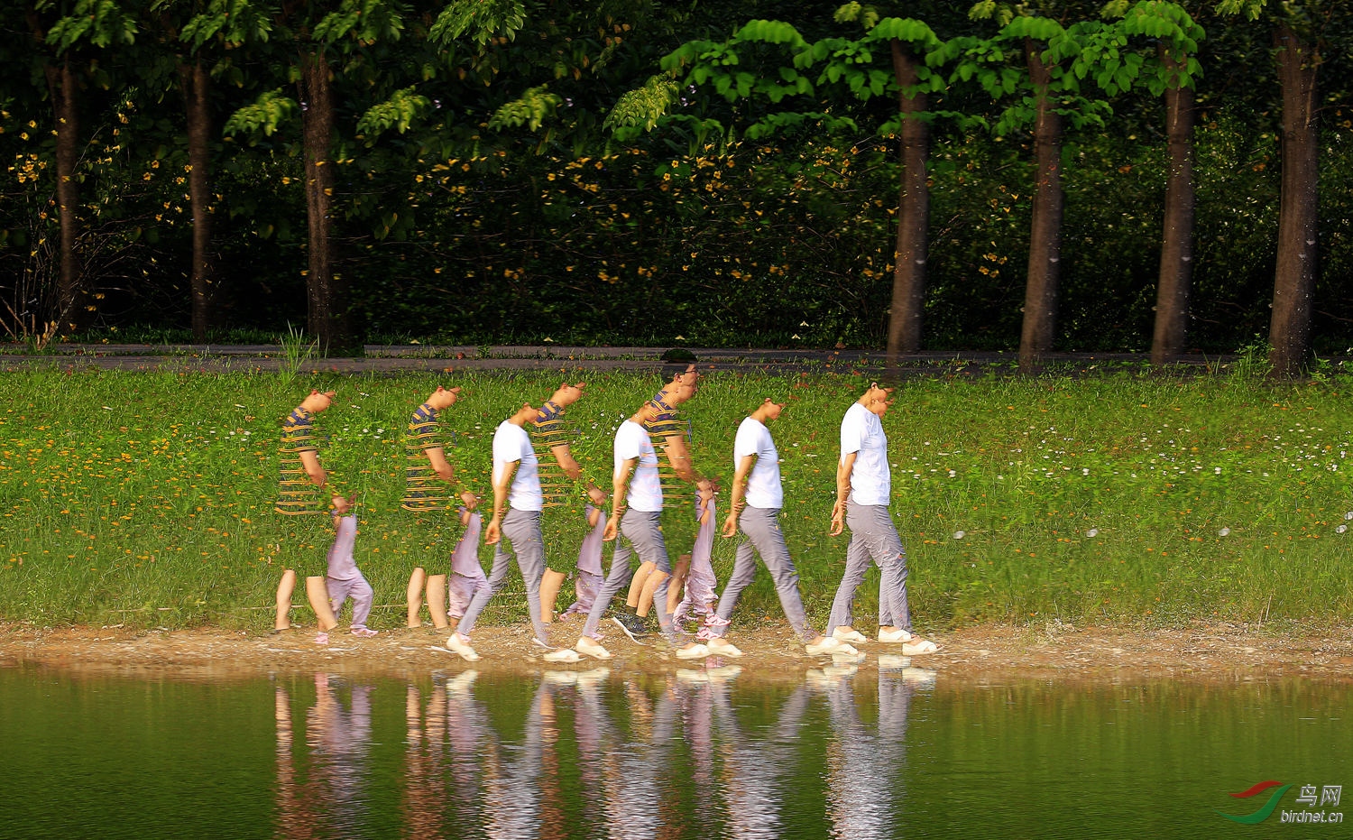 �ӱ�ɢ���������ع⣩