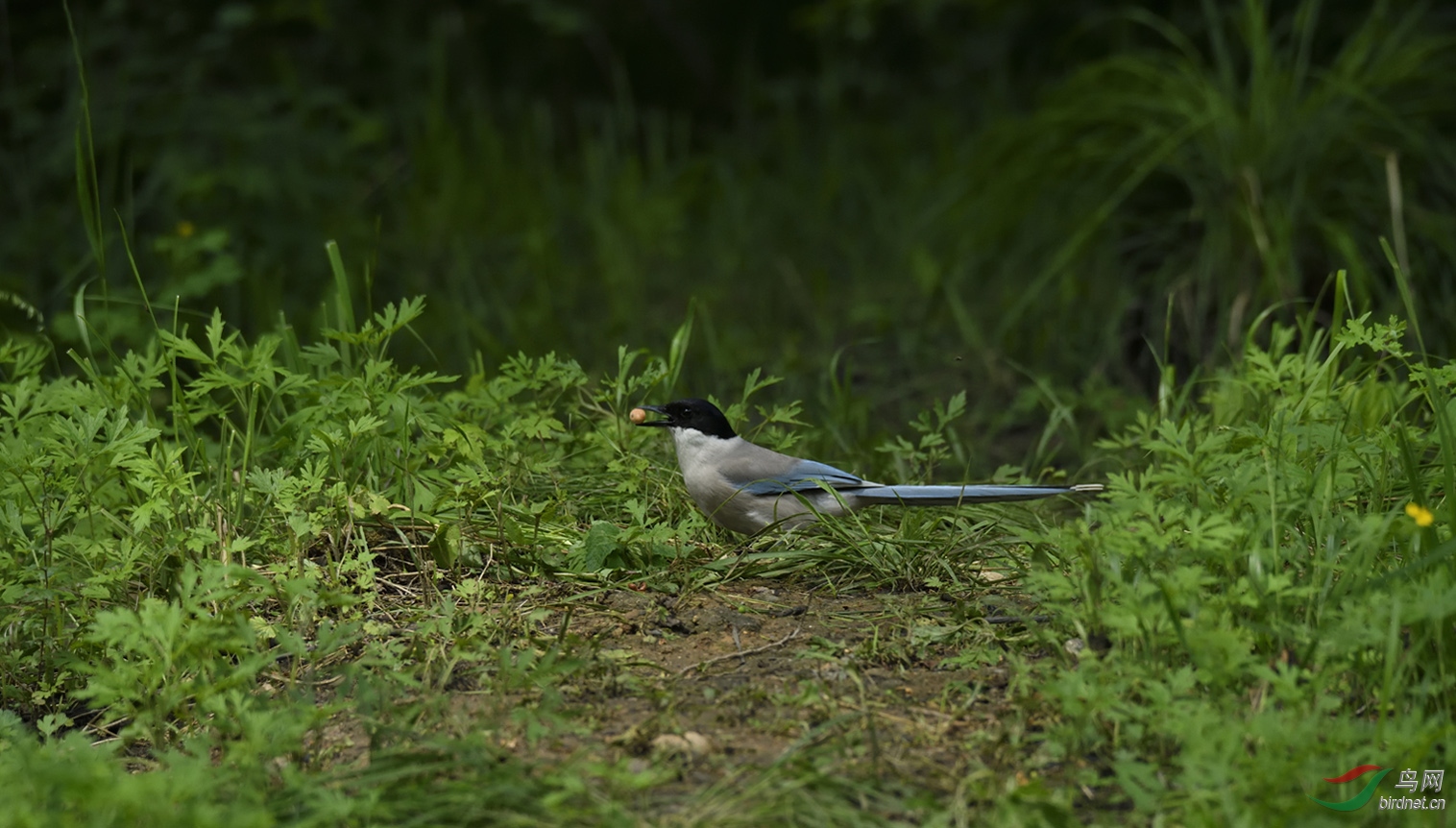 _DSC7282_00001-p-02.jpg