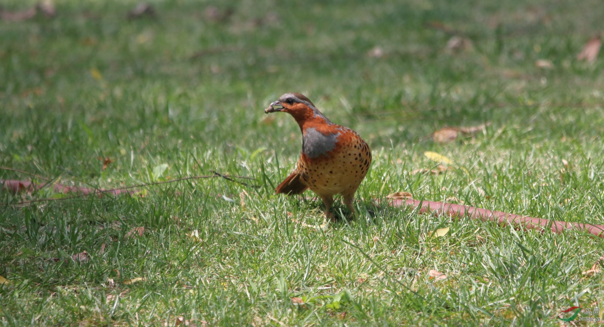 IMG_9162.JPG