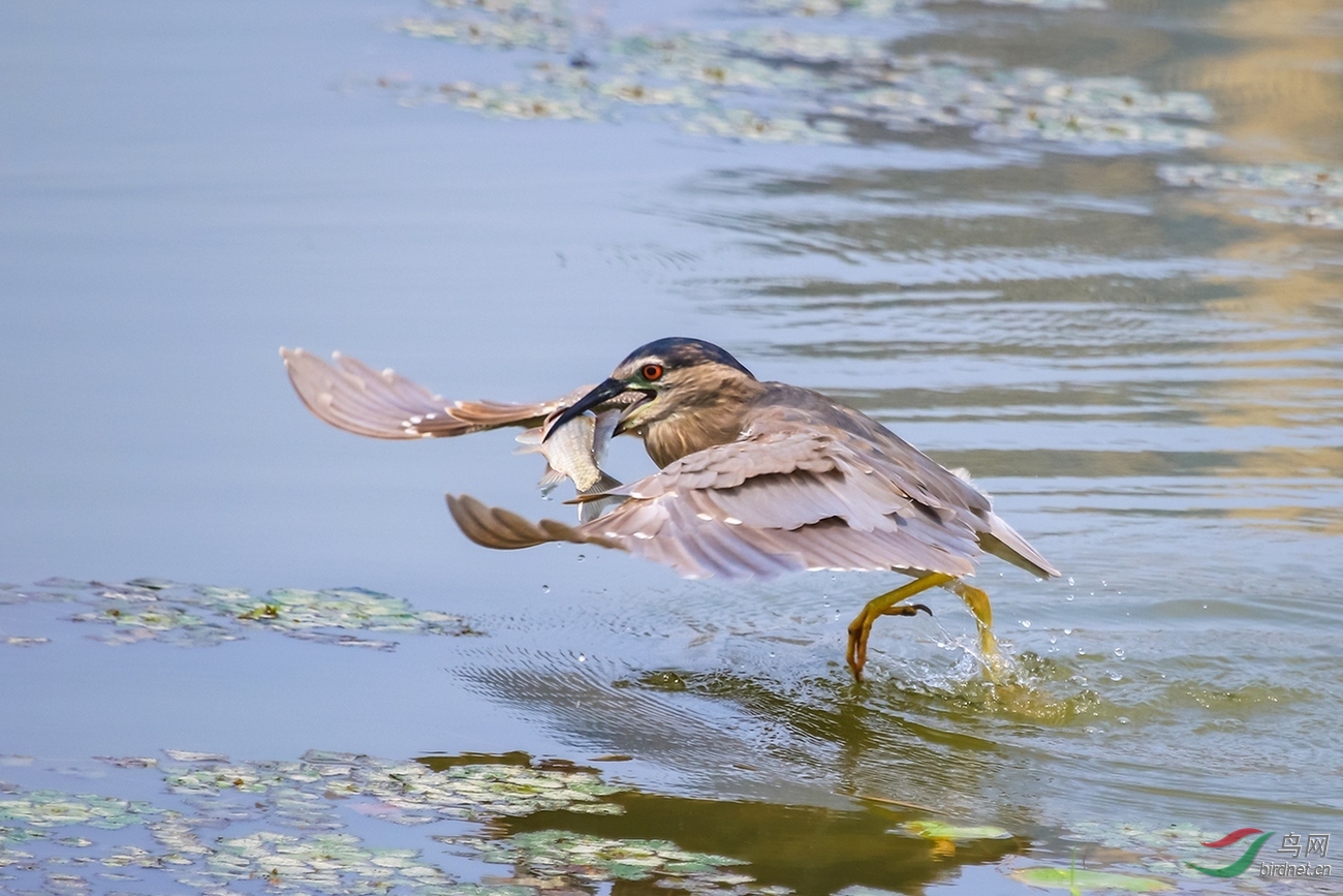 IMG_7736.jpg