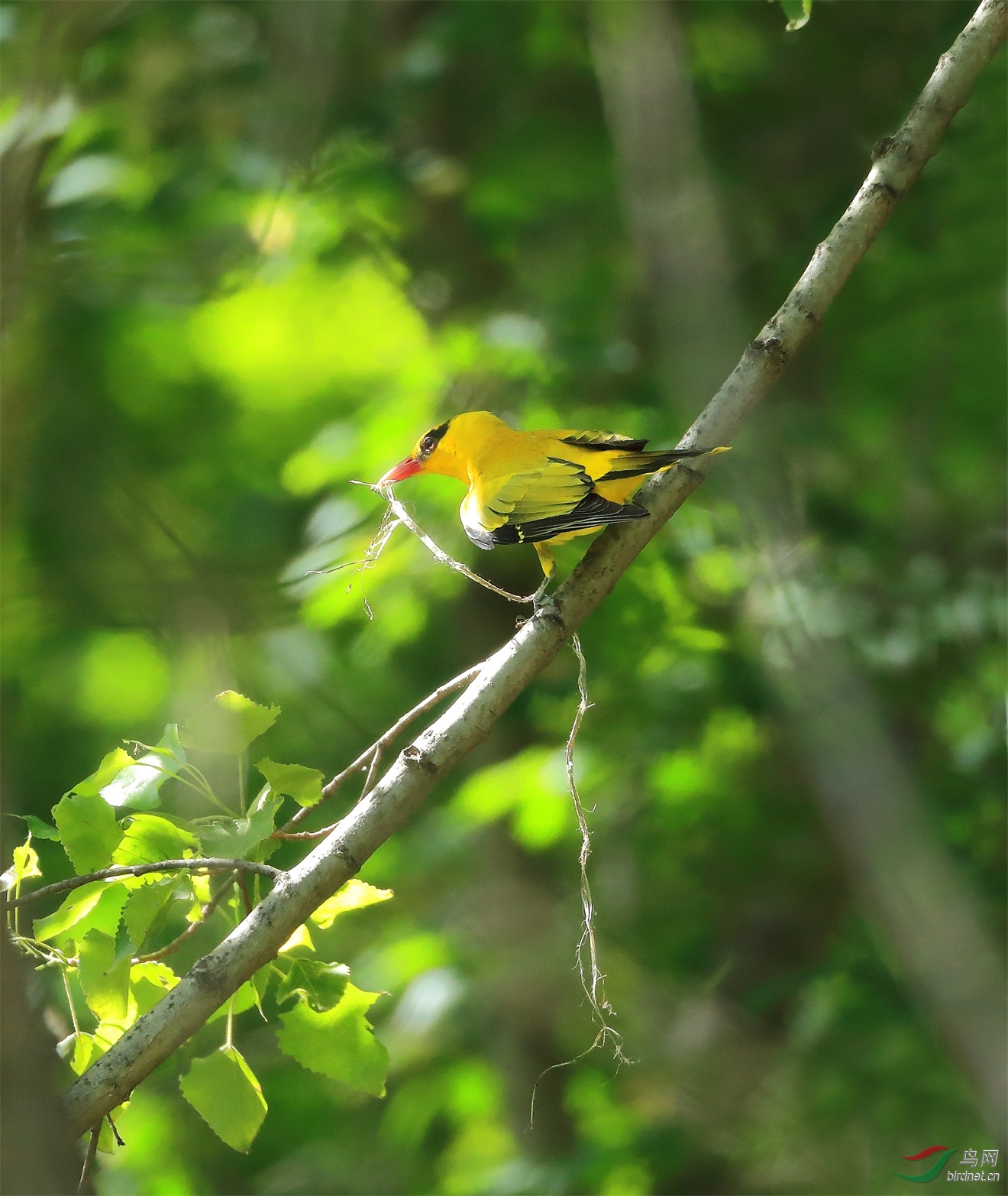 4 - ����.JPG