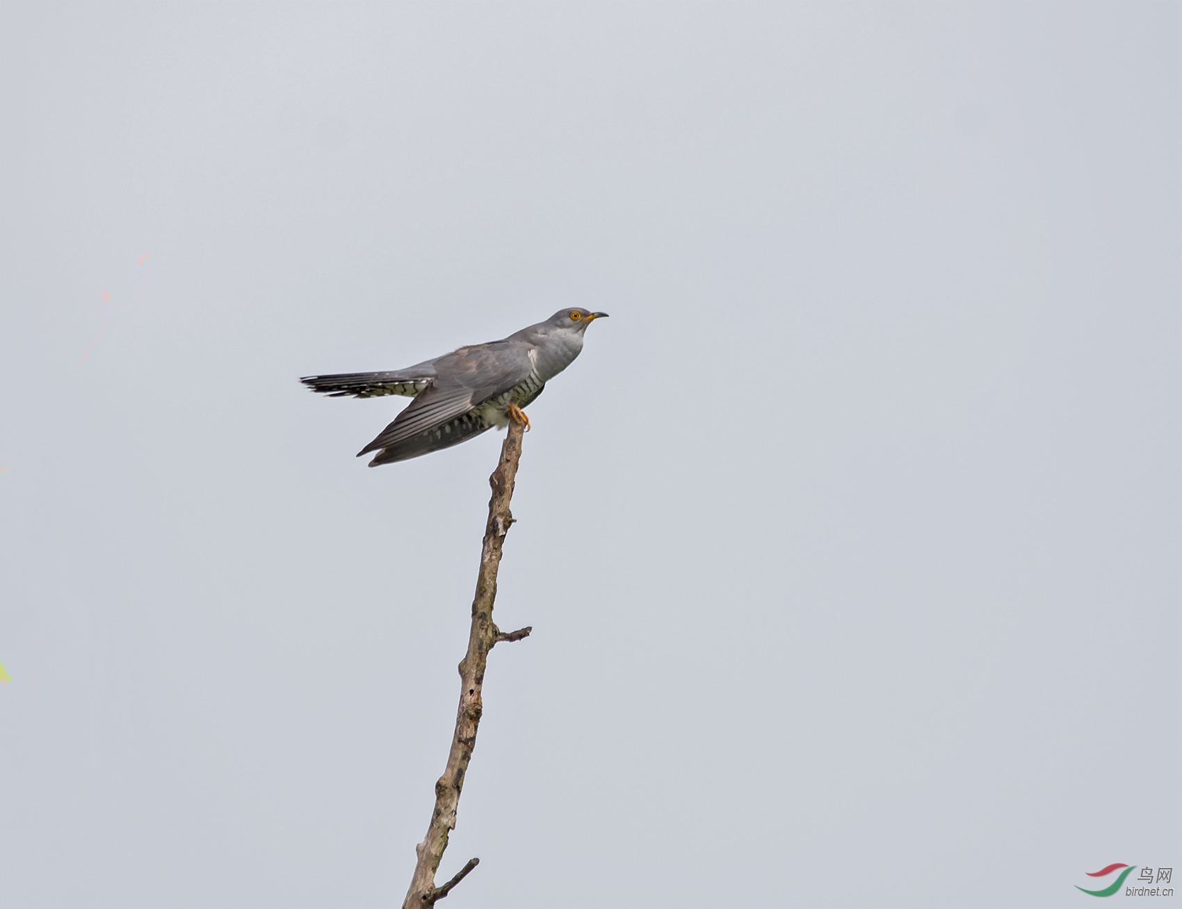 DSC_5712.jpg