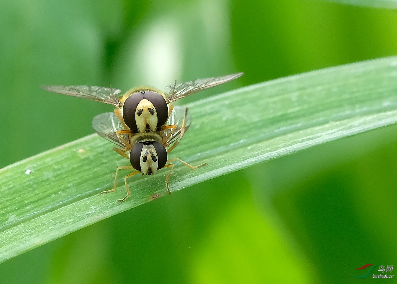 DSCF3316.JPG