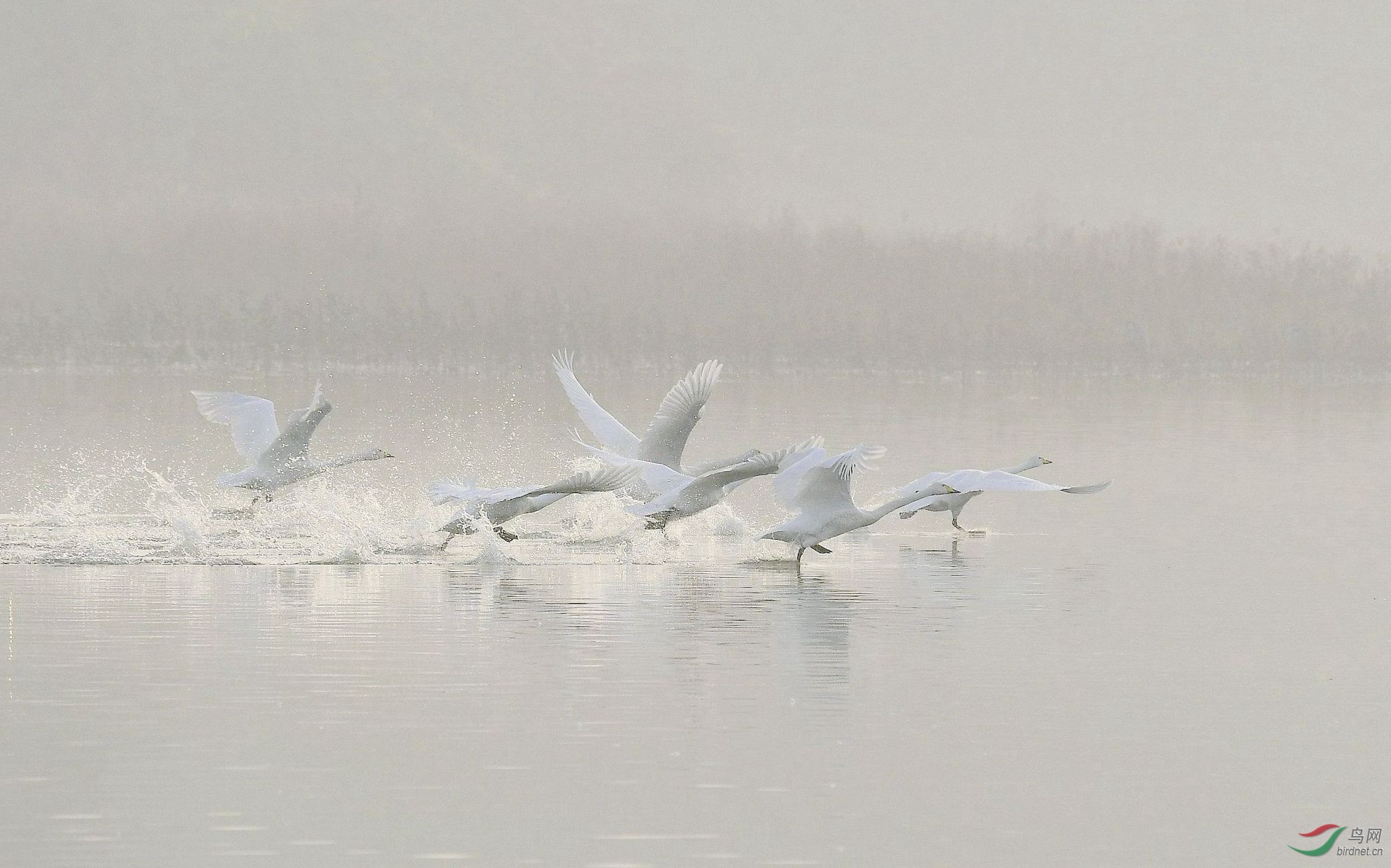DSC_9946.JPG