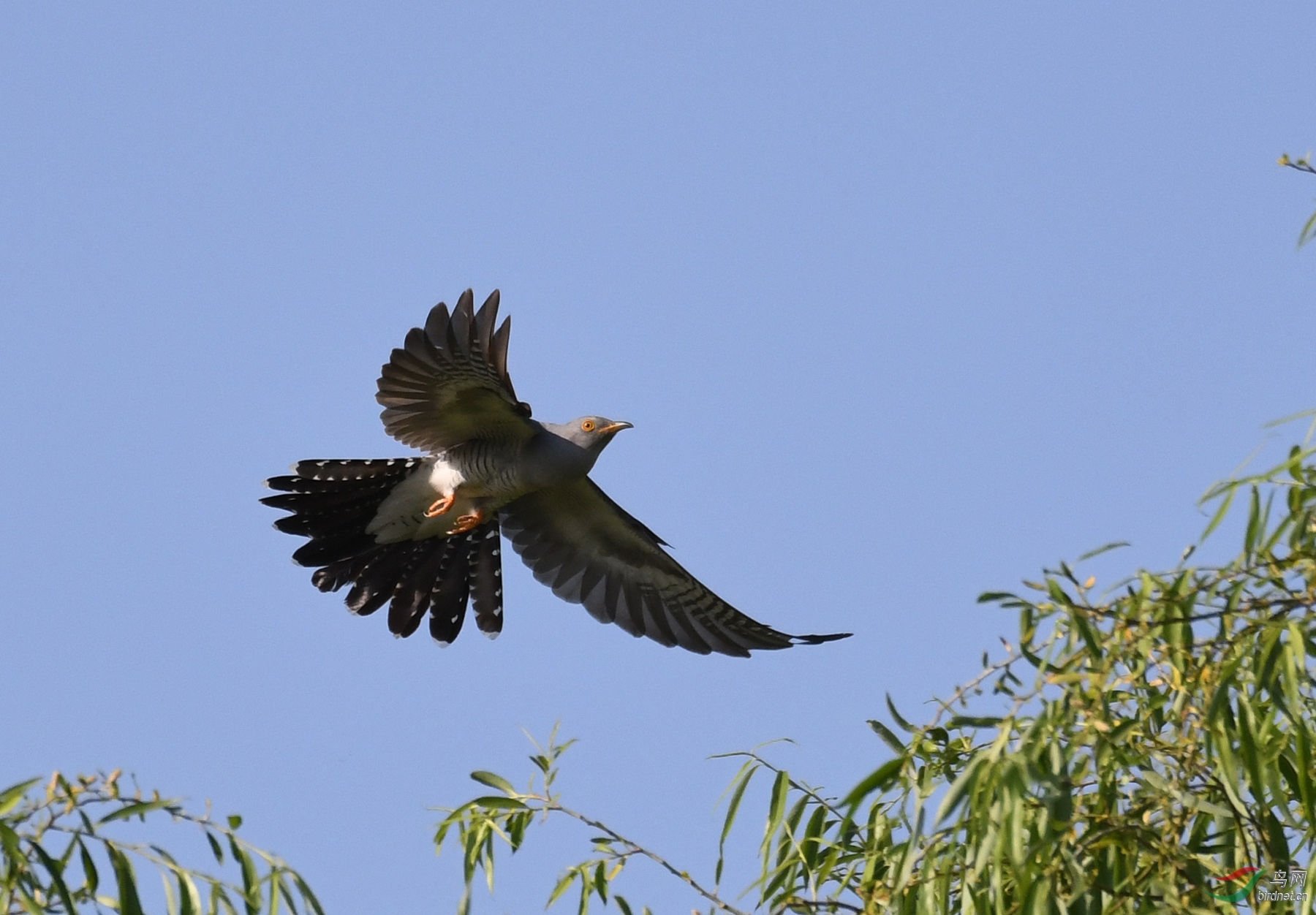 ������Ӱ 6113����.jpg