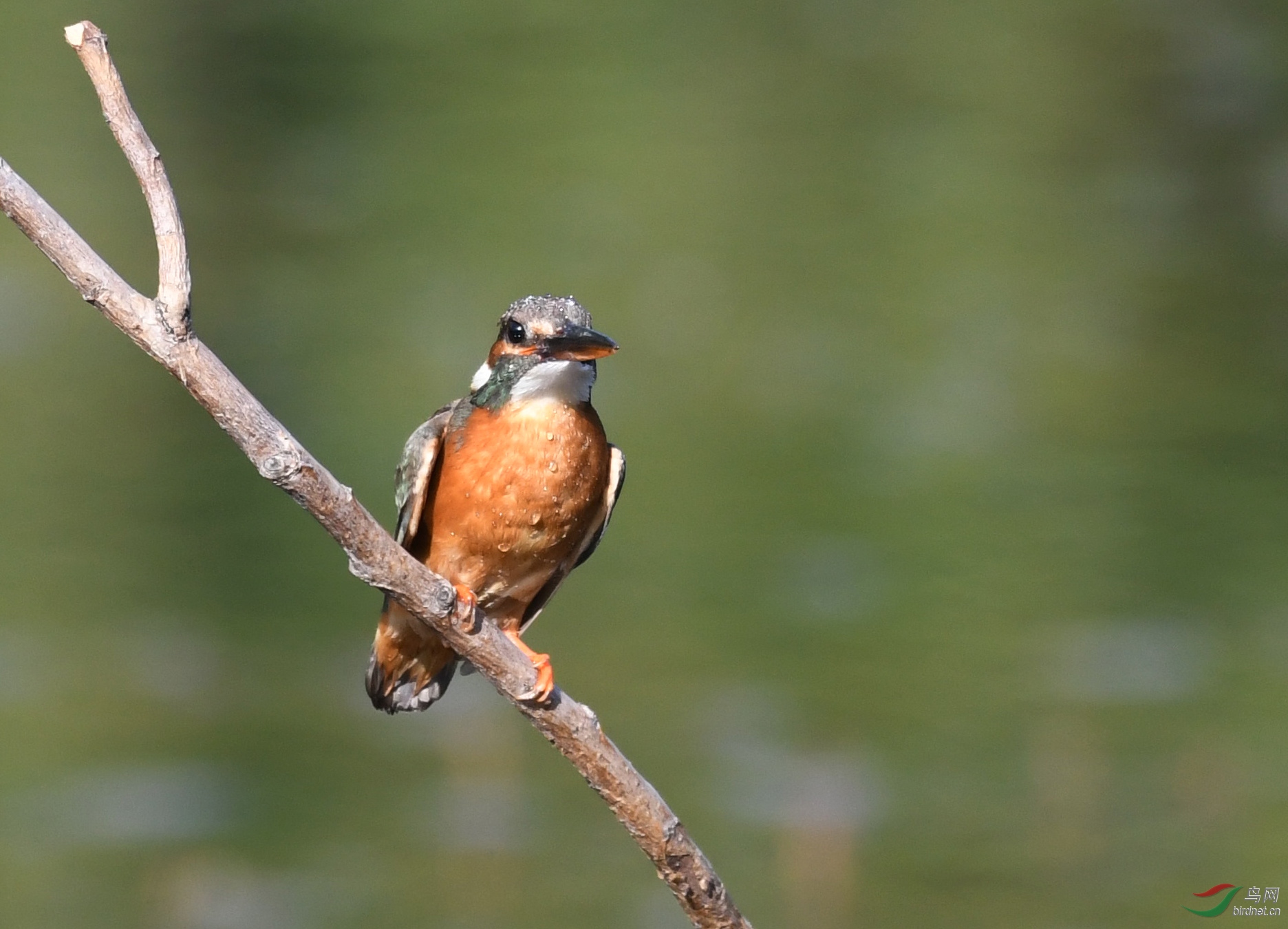 ������Ӱ 6249����.jpg