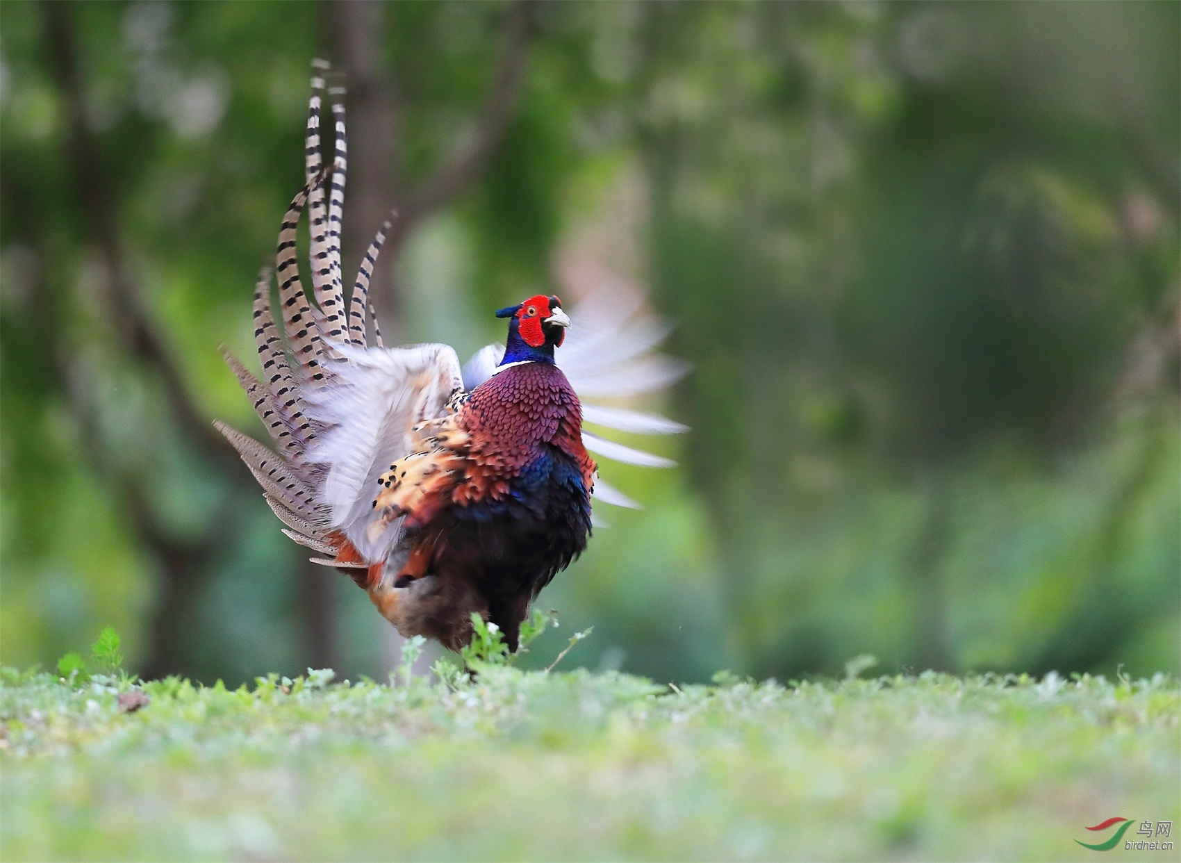 1 - ����.JPG