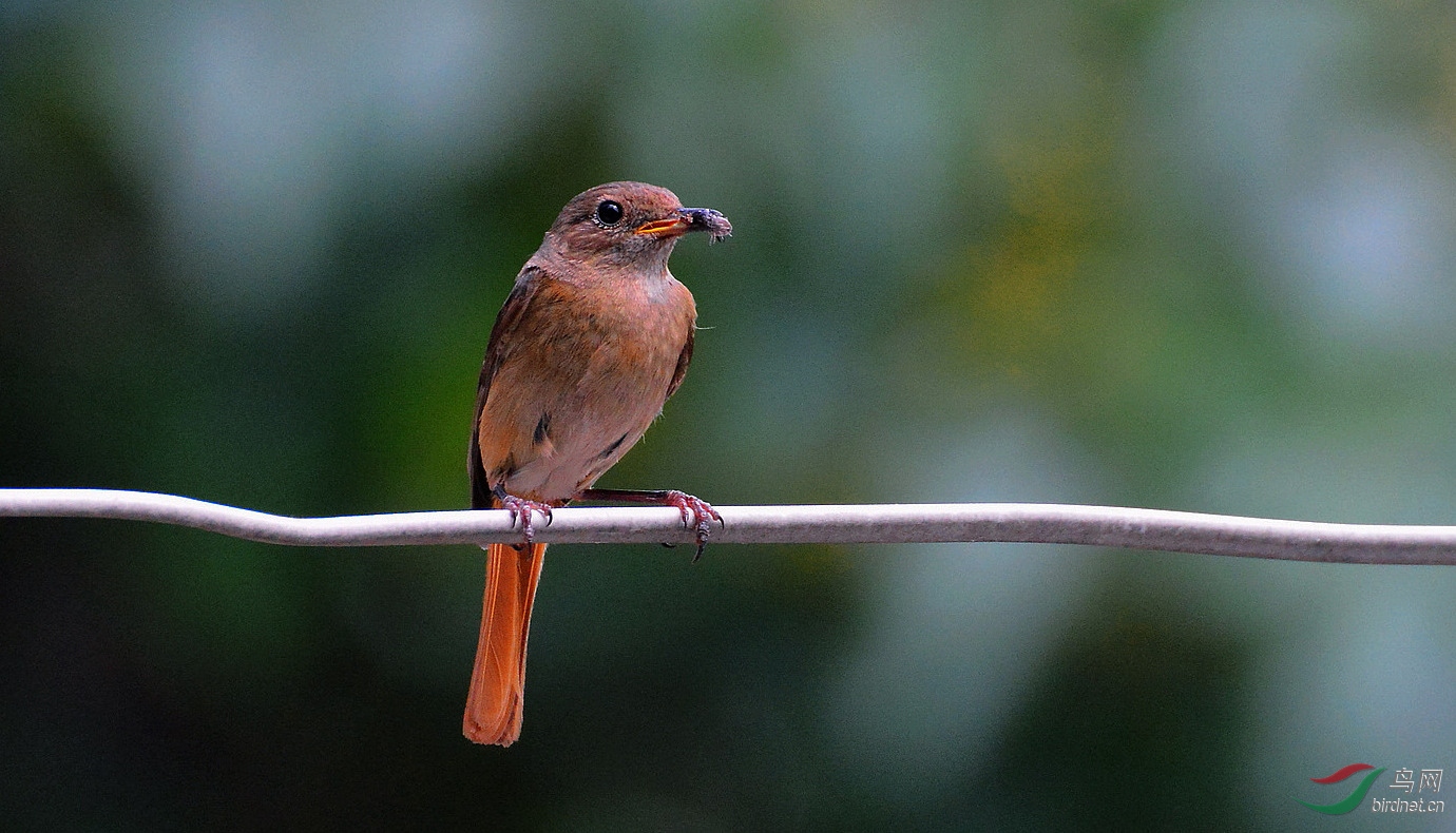 DSC_8531.JPG