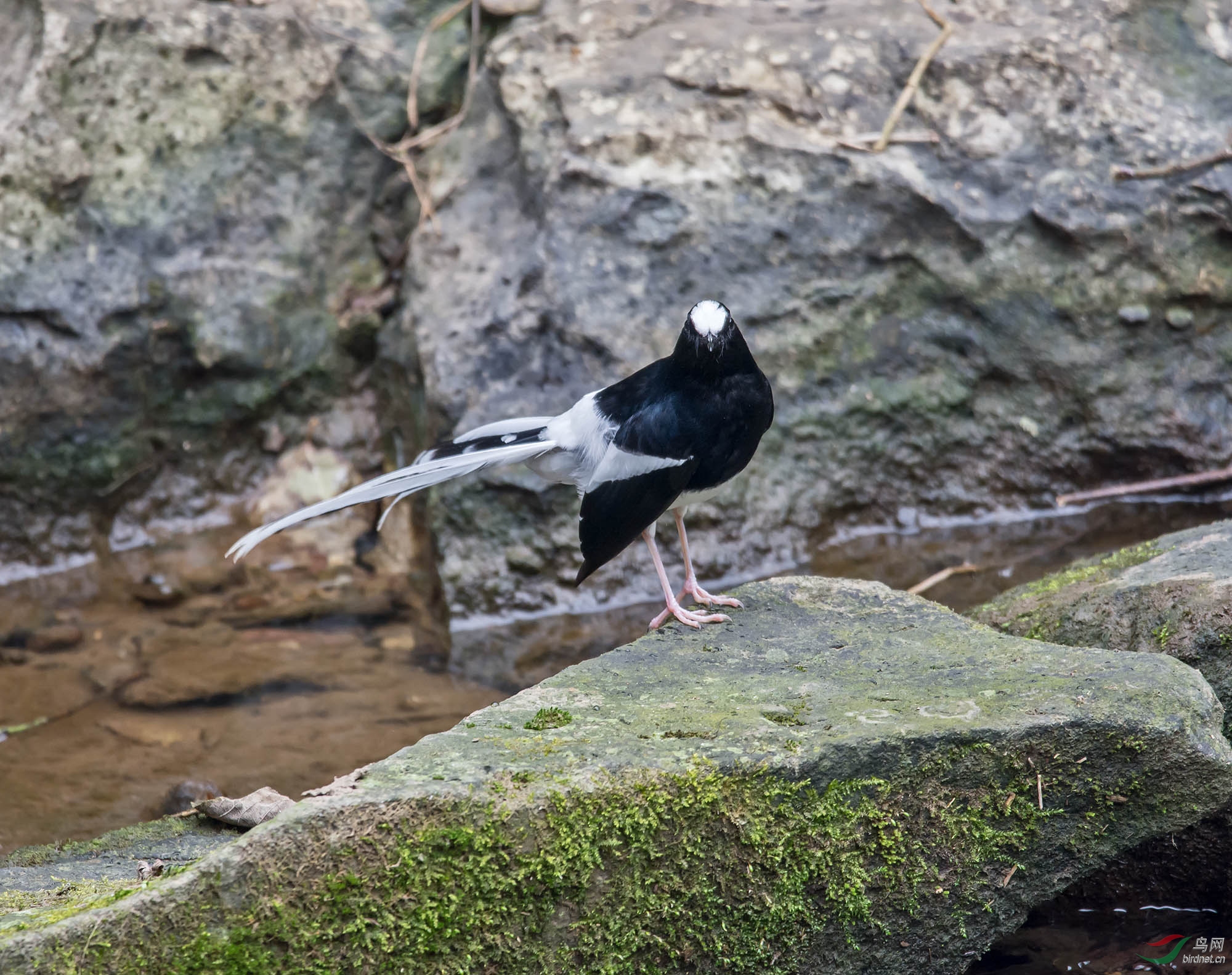 DSC_8079.jpg