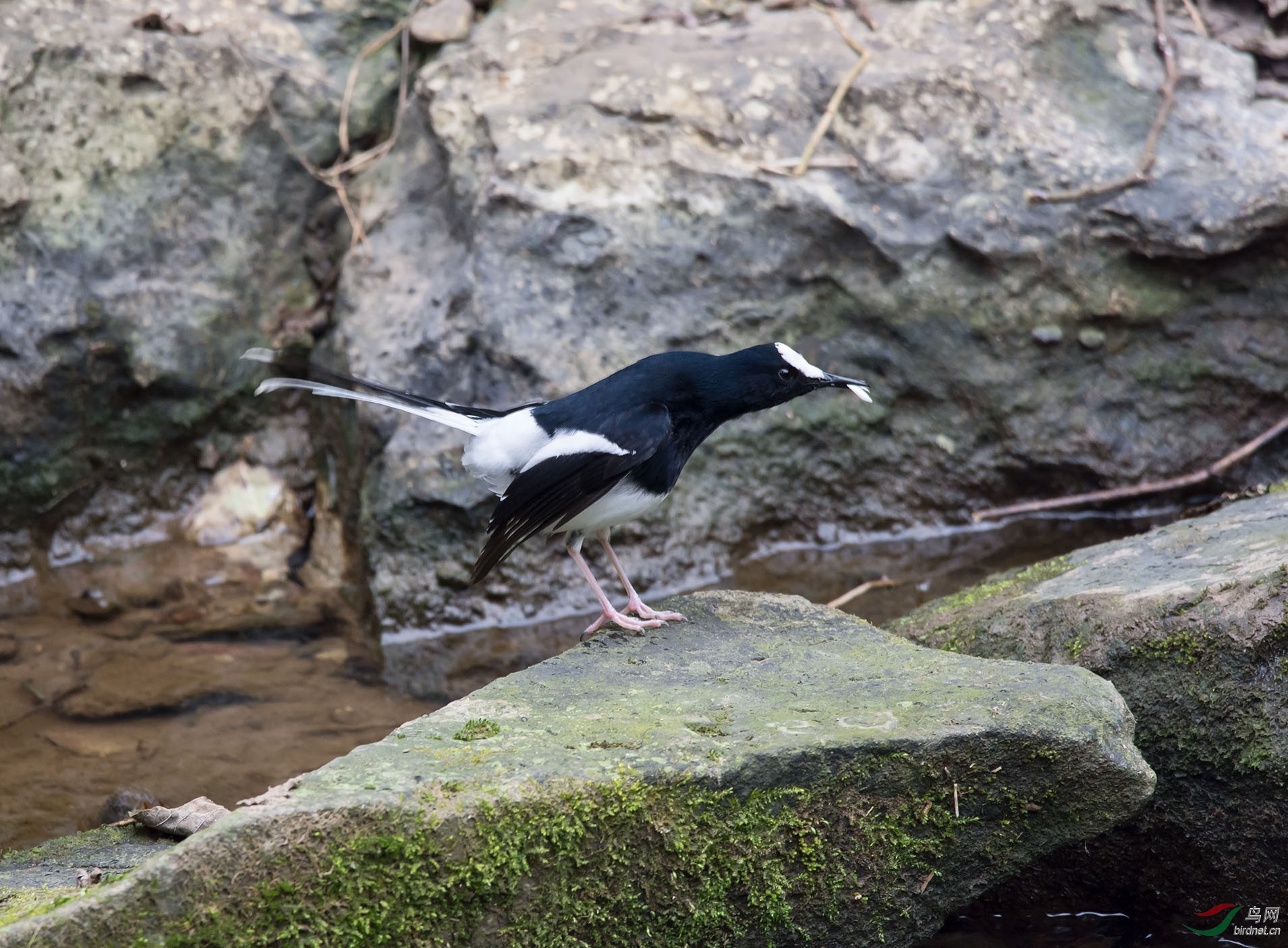 DSC_8082.jpg