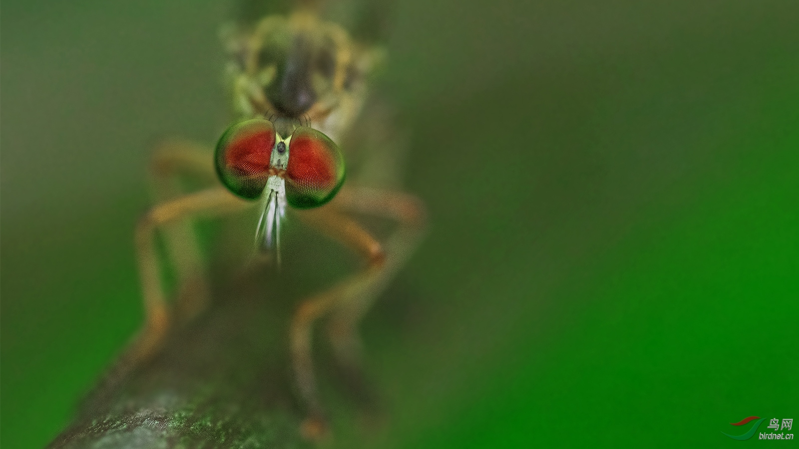 DSC_8258_��ͼ��.jpg