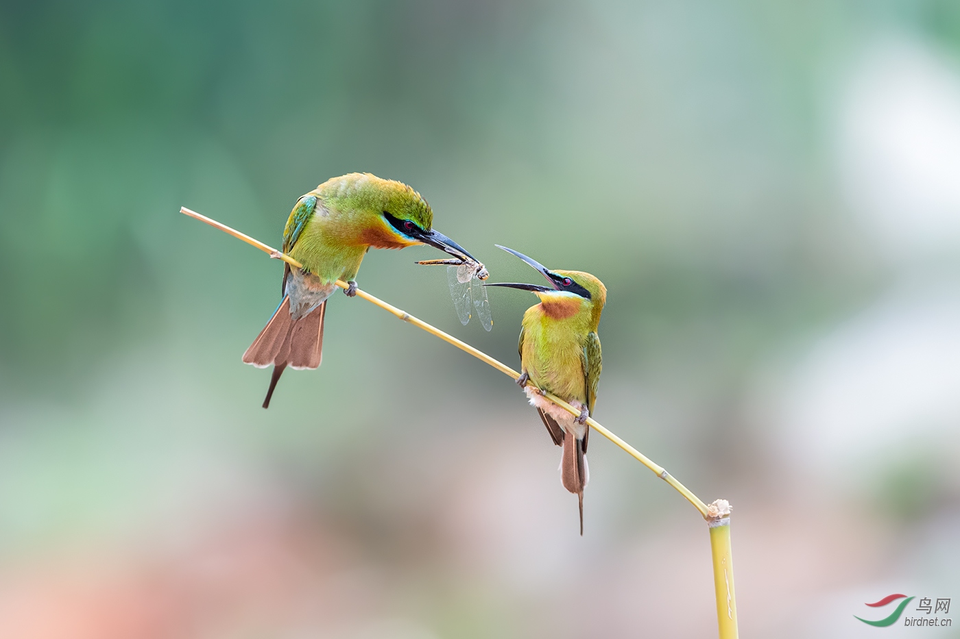 _DSC2594_��ͼ��.jpg