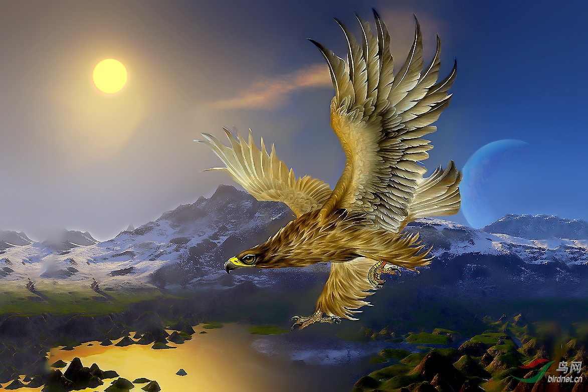 13621867_205408394163_2_����_����_���� (3)_����_����_����_����.jpg