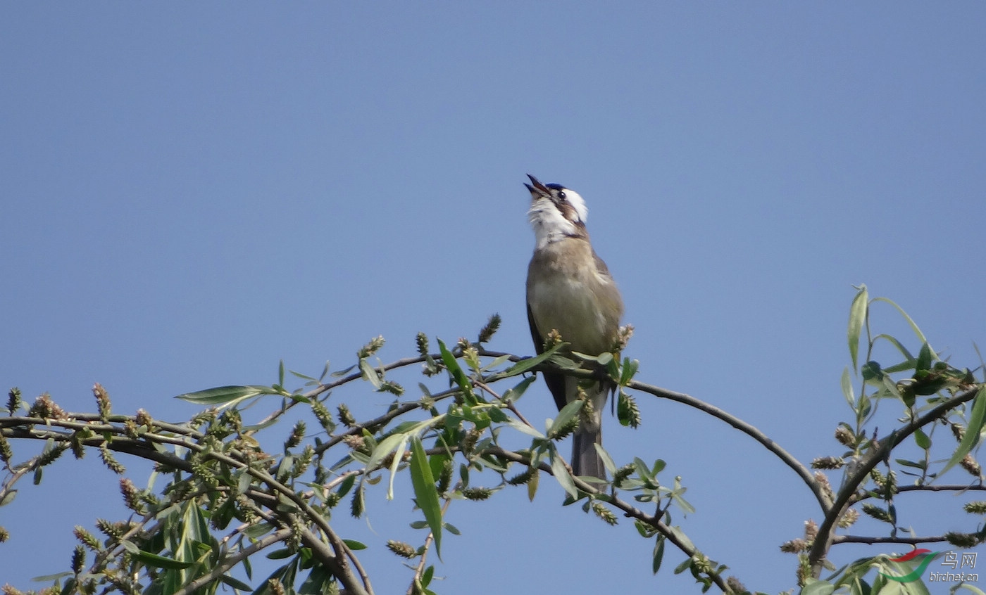 DSC01845.JPG