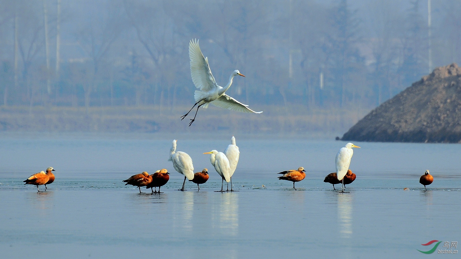 DSC_0166.JPG