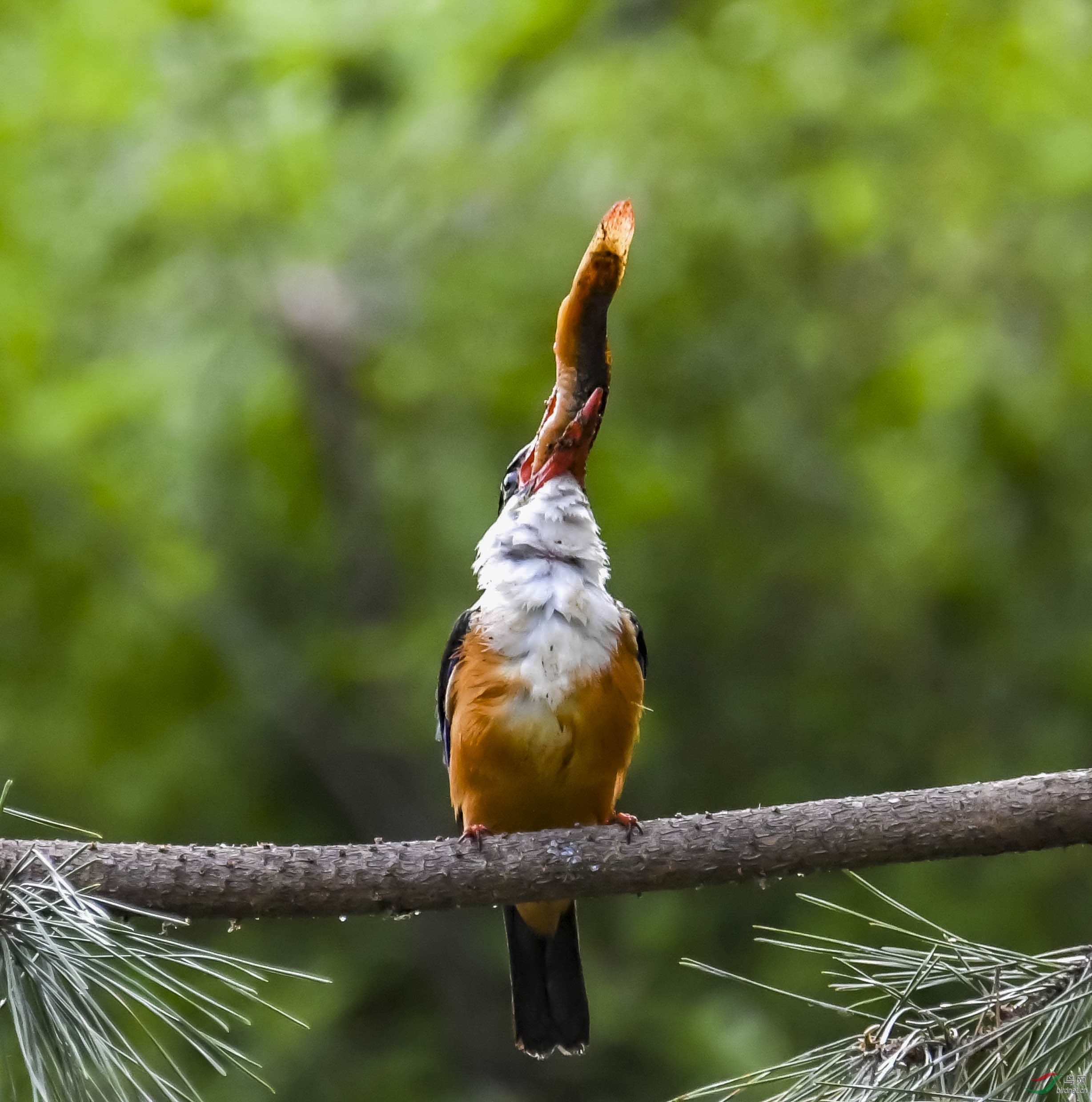 DSC_6274.JPG