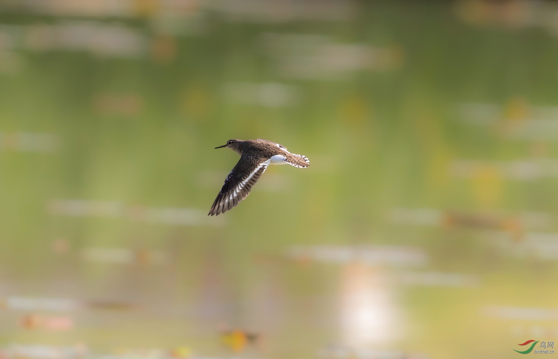 ��֪������