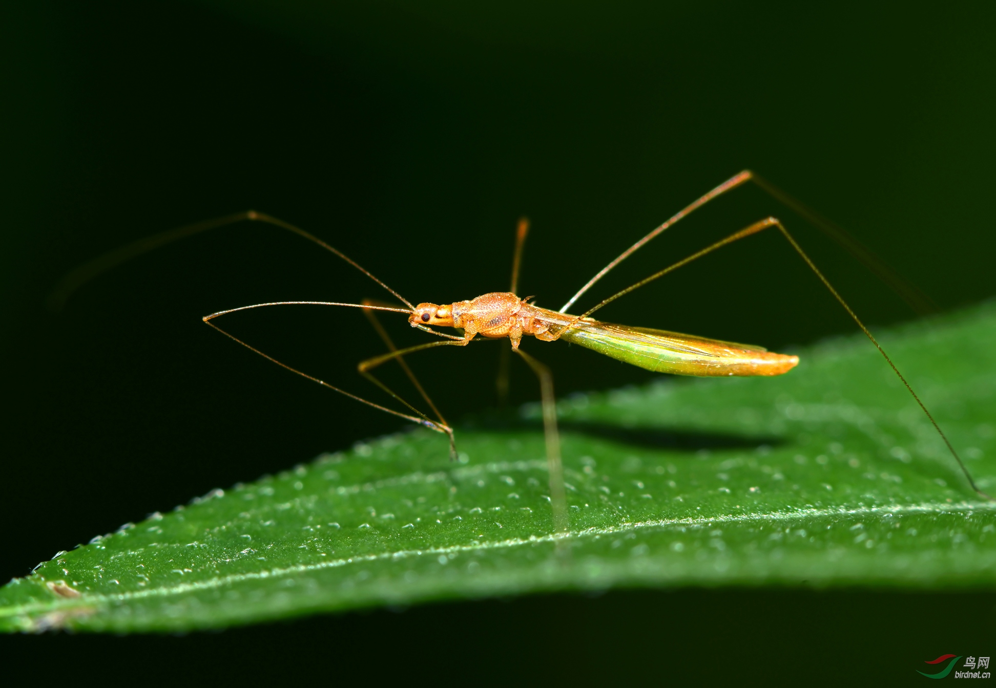 DSC_9906 �������� ��������.jpg