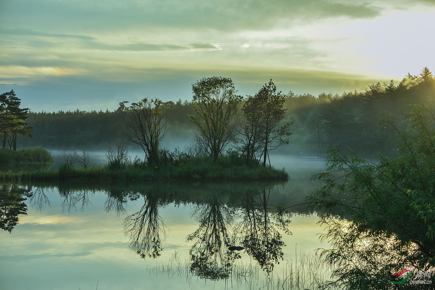 _D8A7467_22537a.jpg