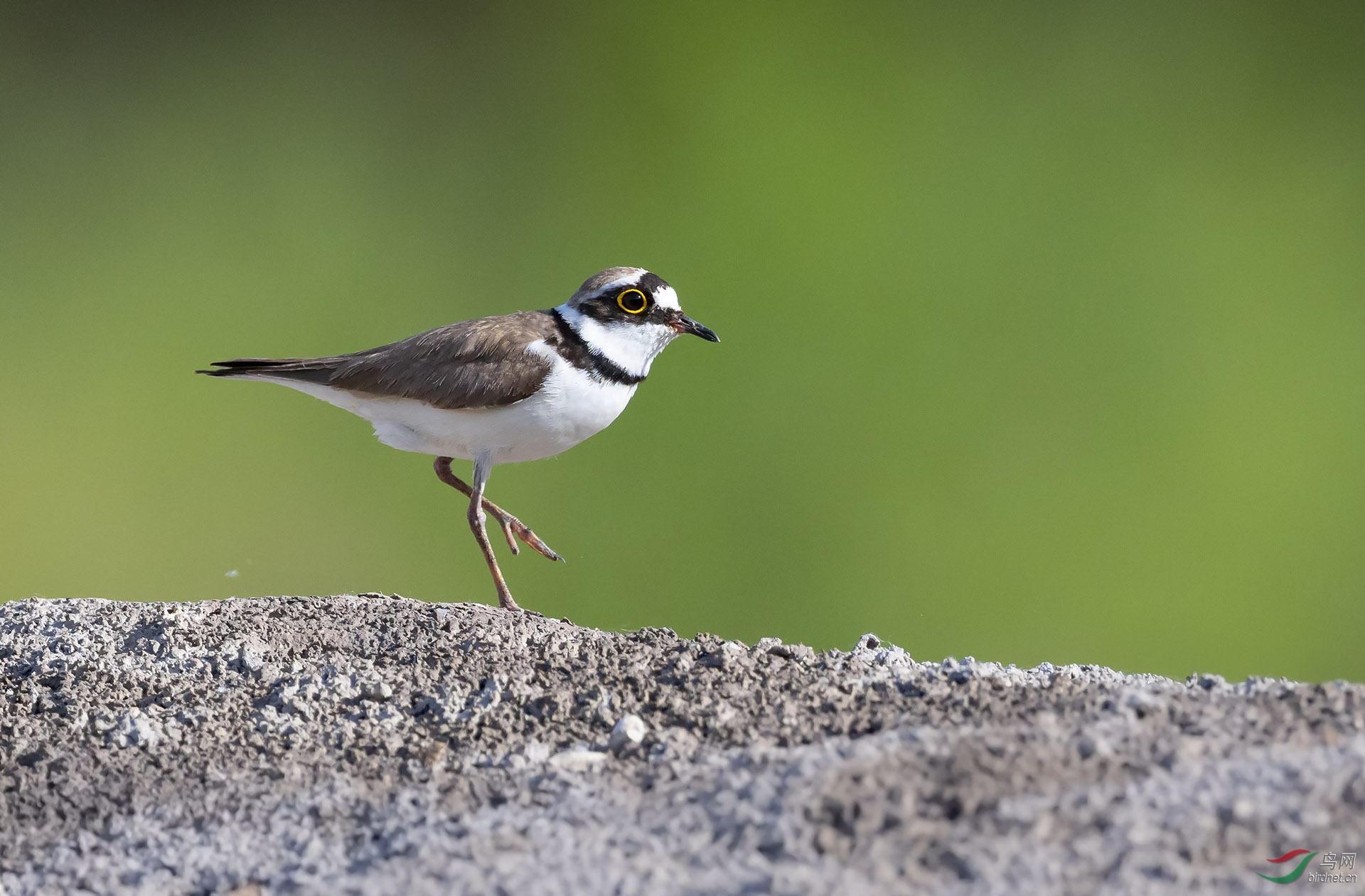 DSC_7651.jpg