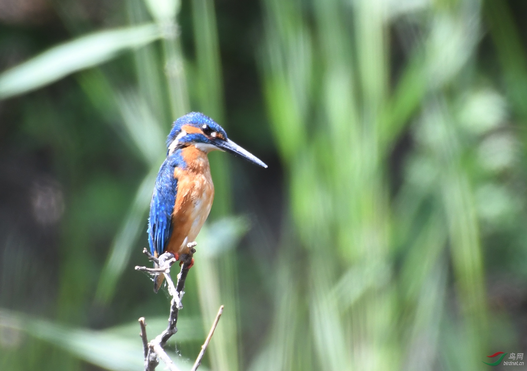 ������Ӱ 6439����.jpg