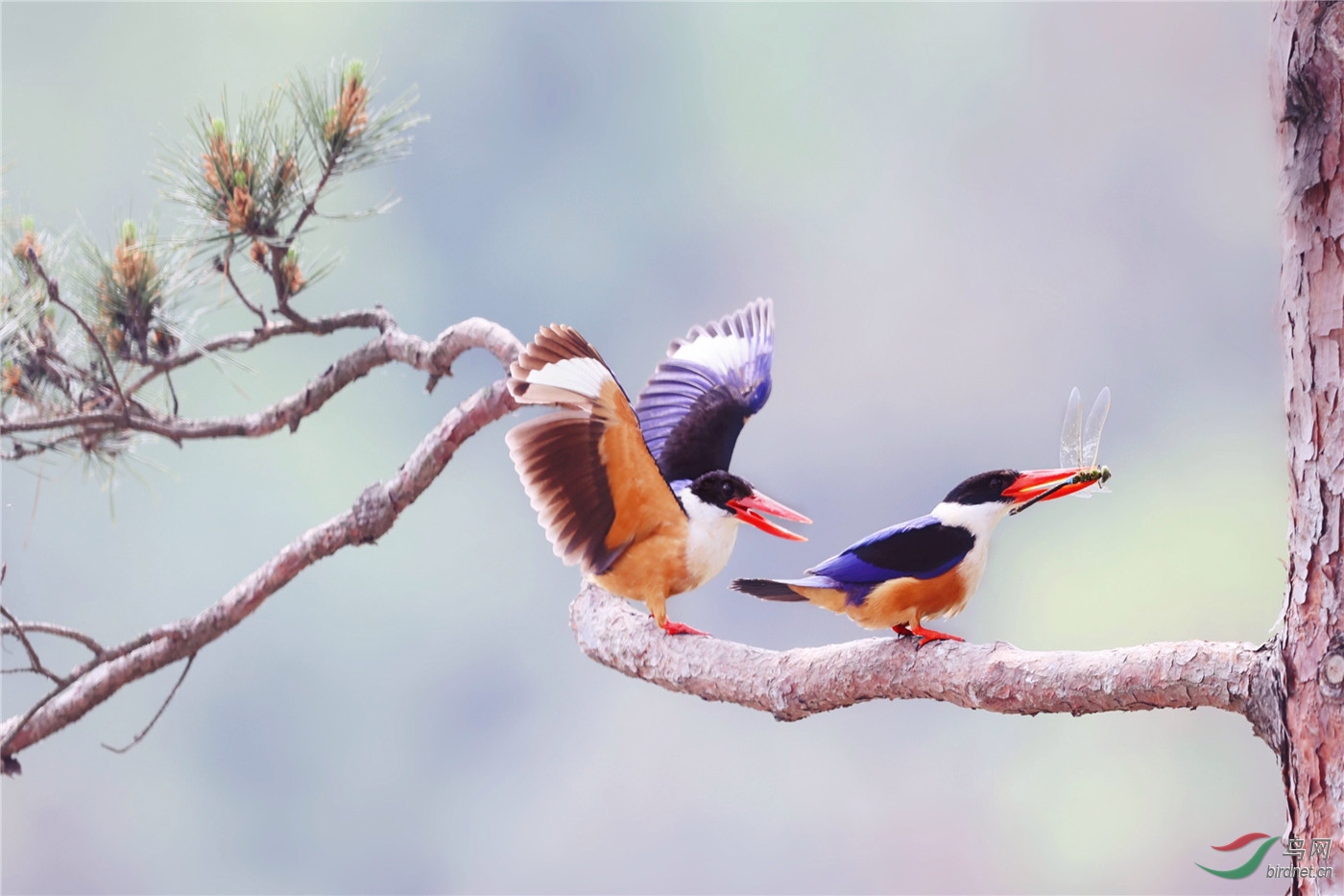 ΢��ͼƬ_20200526094539.jpg