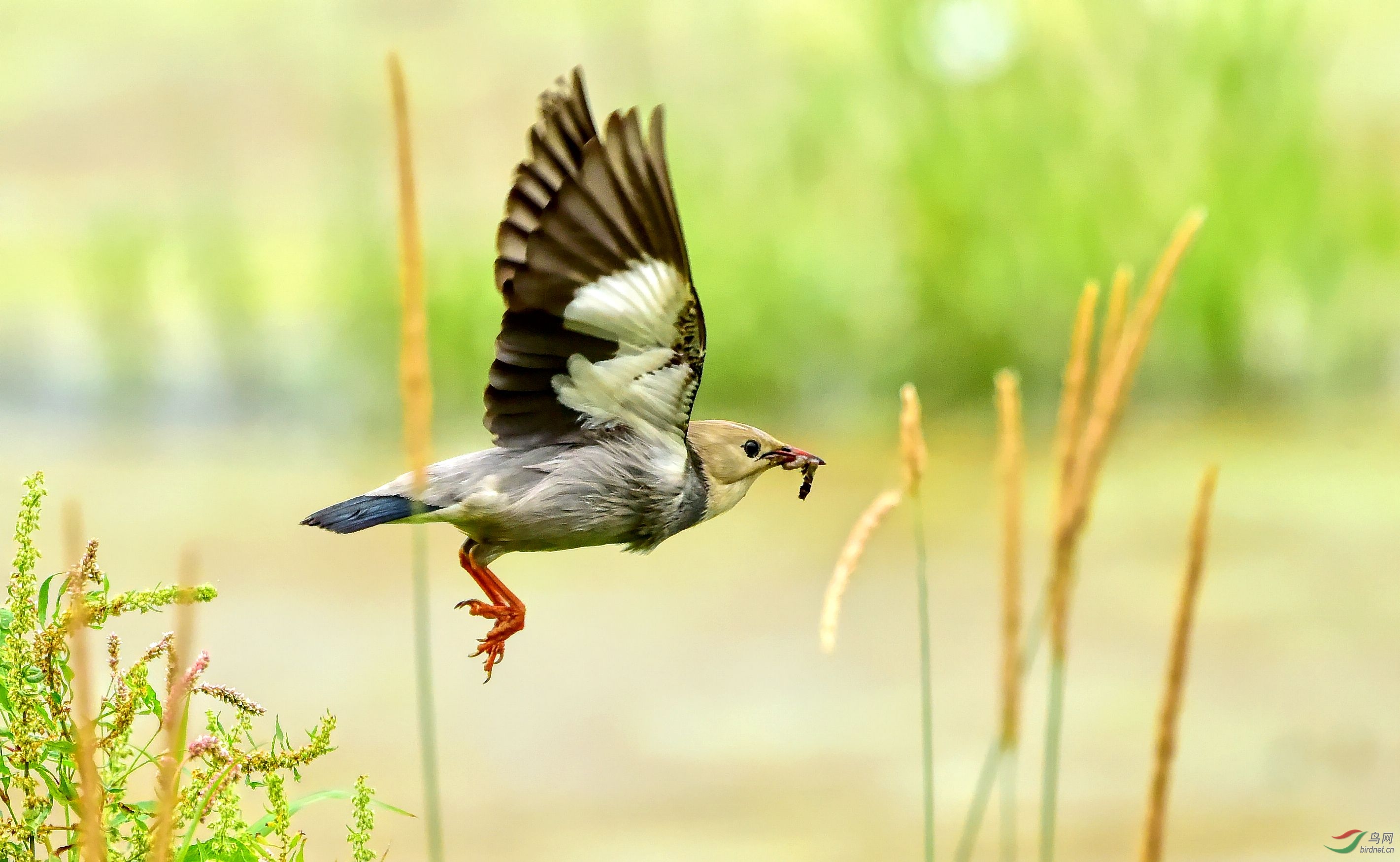 DSC_8724_conew4.jpg