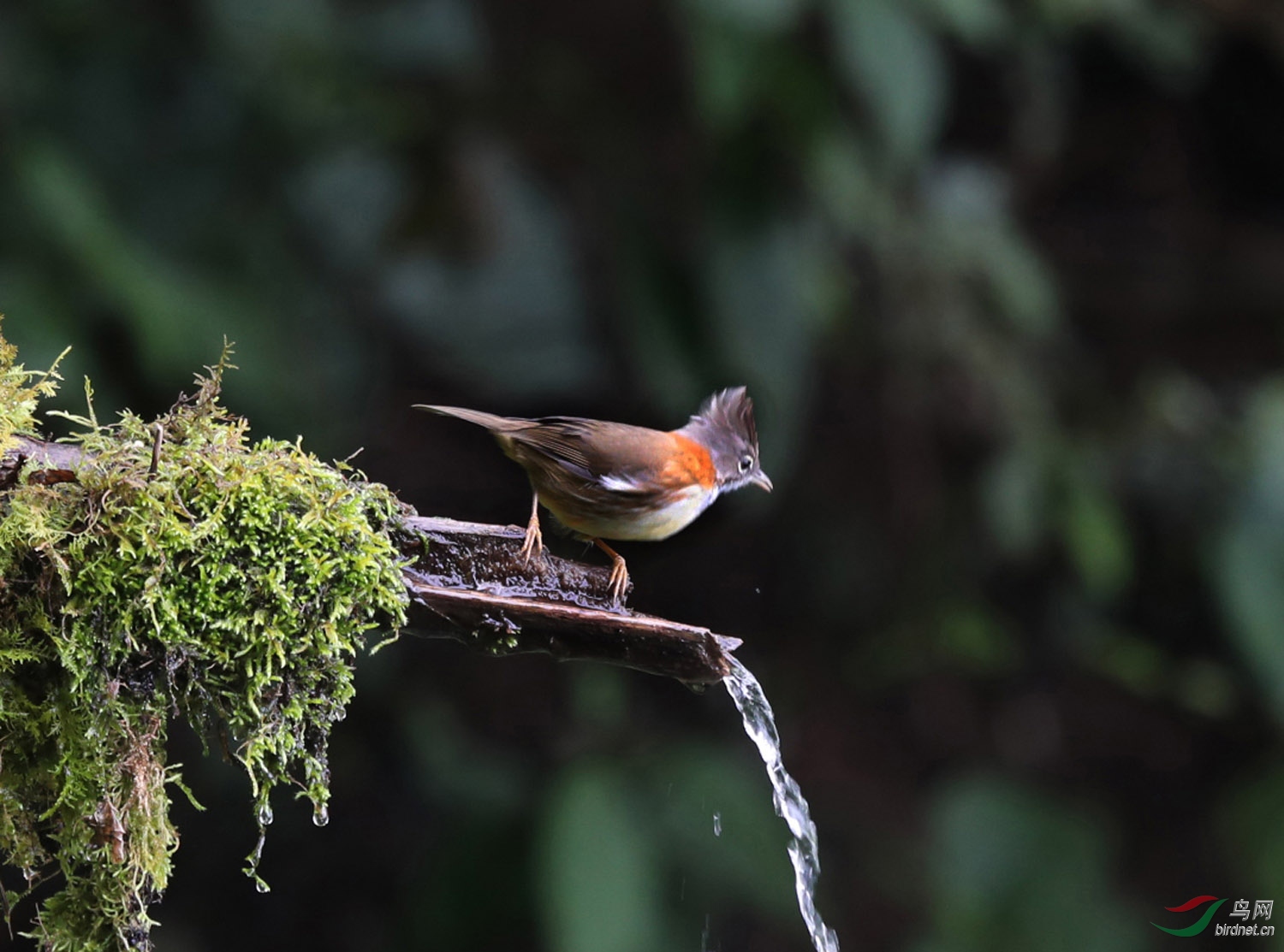 B83I3753.JPG