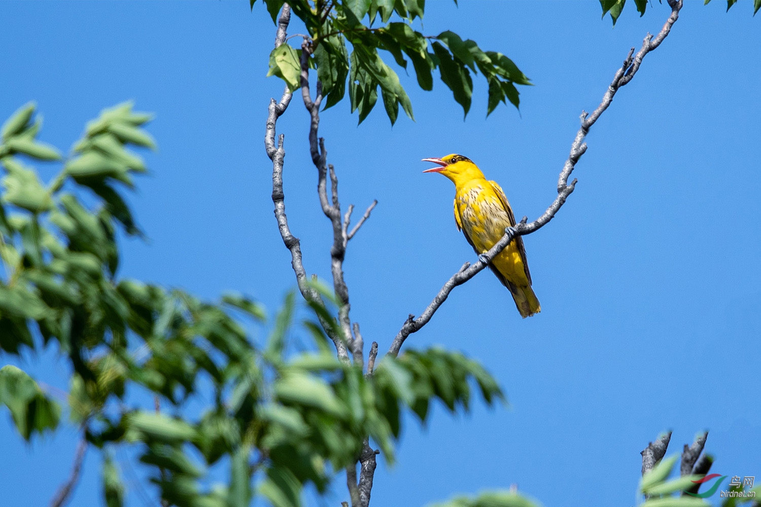 NL__3955-1.jpg